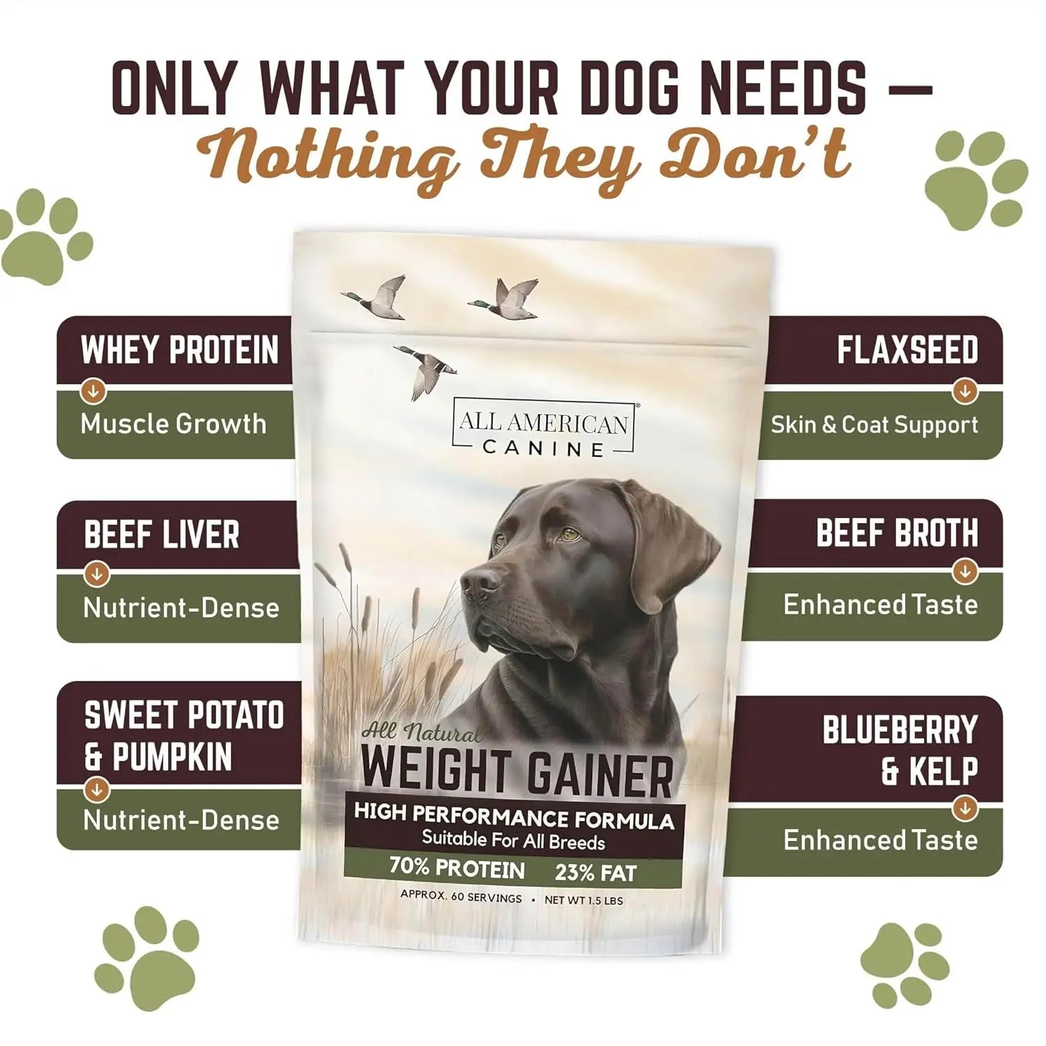 Dog Weight Gainer High Calorie Protein Powder Supplement Muscle Recovery