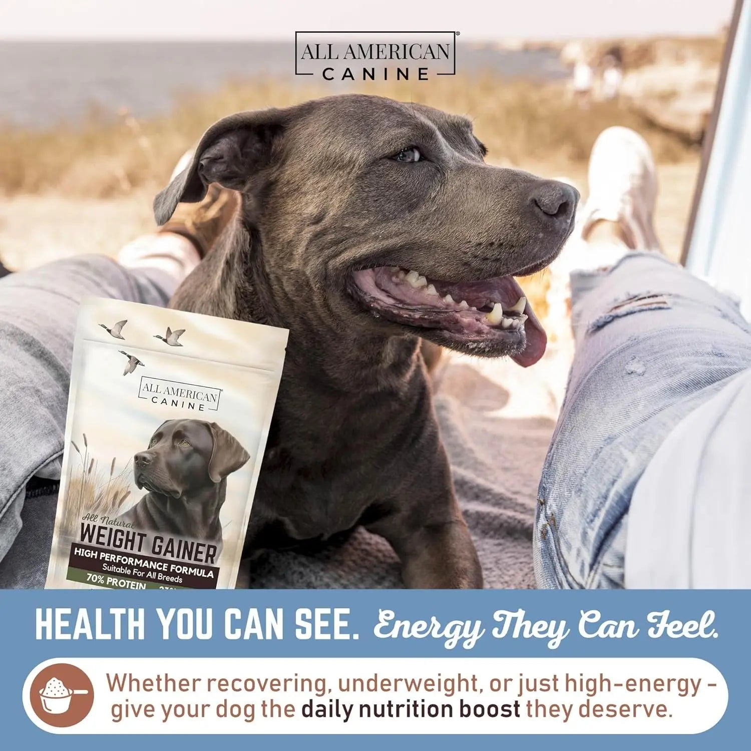 Dog Weight Gainer High Calorie Protein Powder Supplement Muscle Recovery
