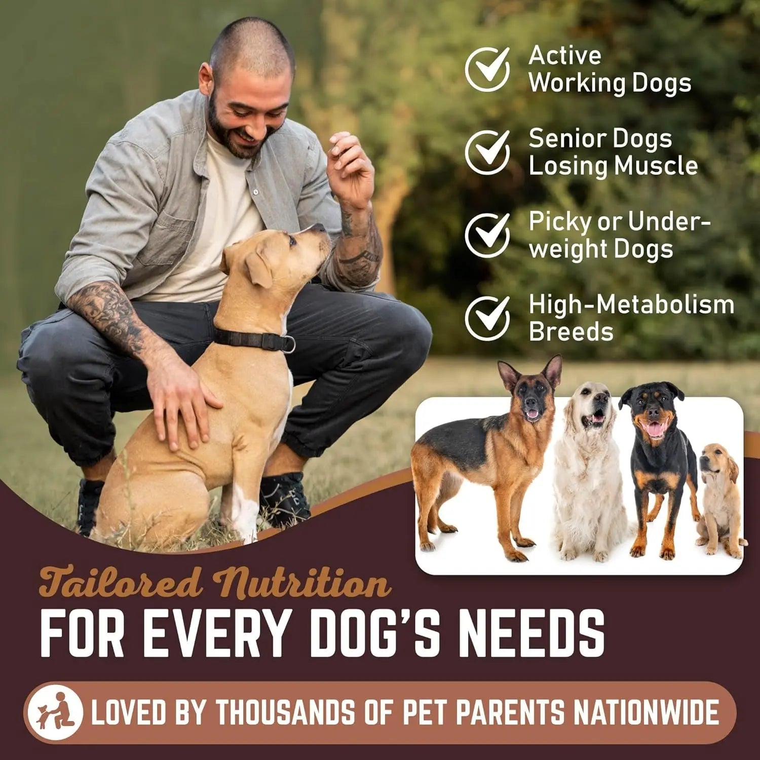 Dog Weight Gainer High Calorie Protein Powder Supplement Muscle Recovery