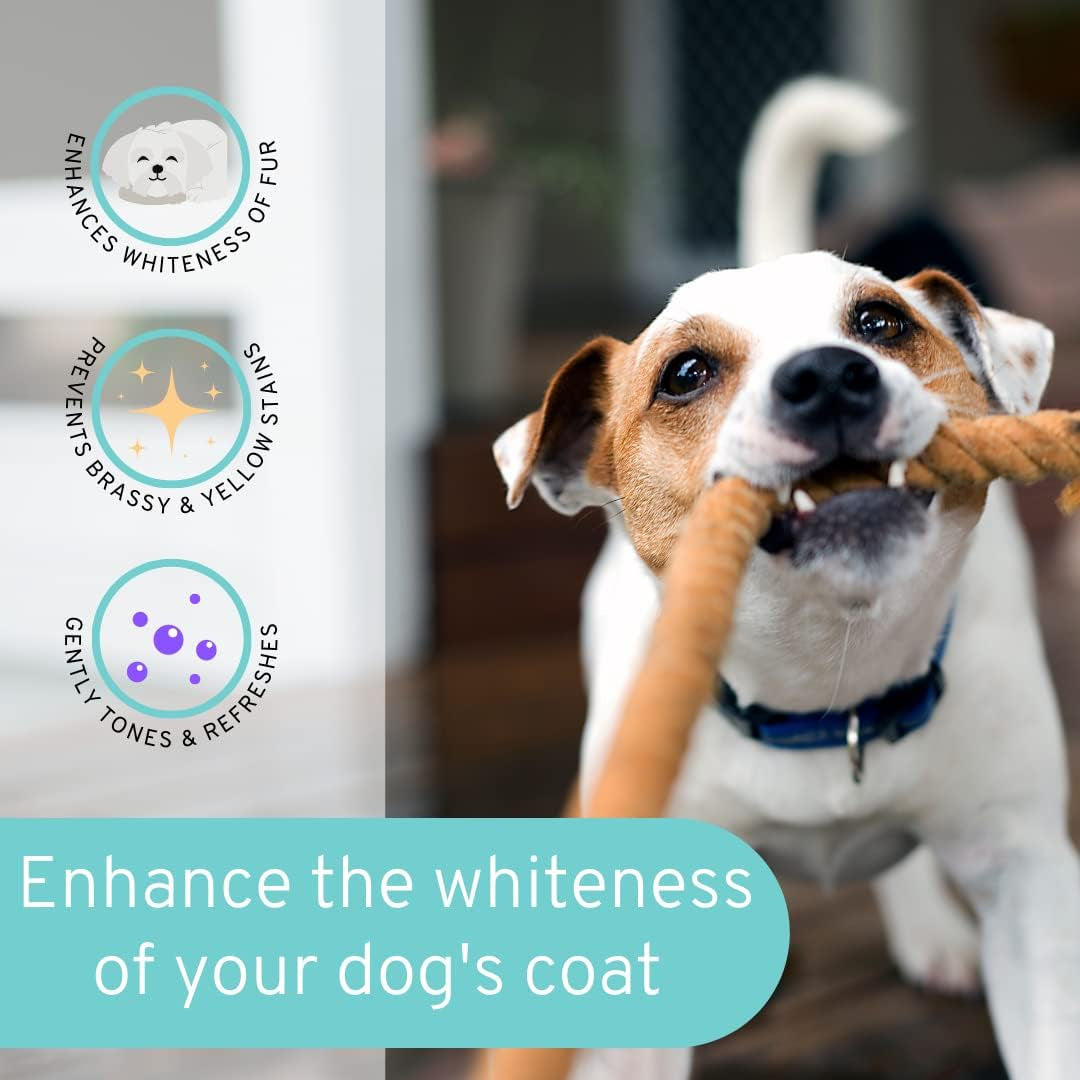 Dog Whitening Shampoo 8oz Tearless Natural Brightening White & Dark Coats