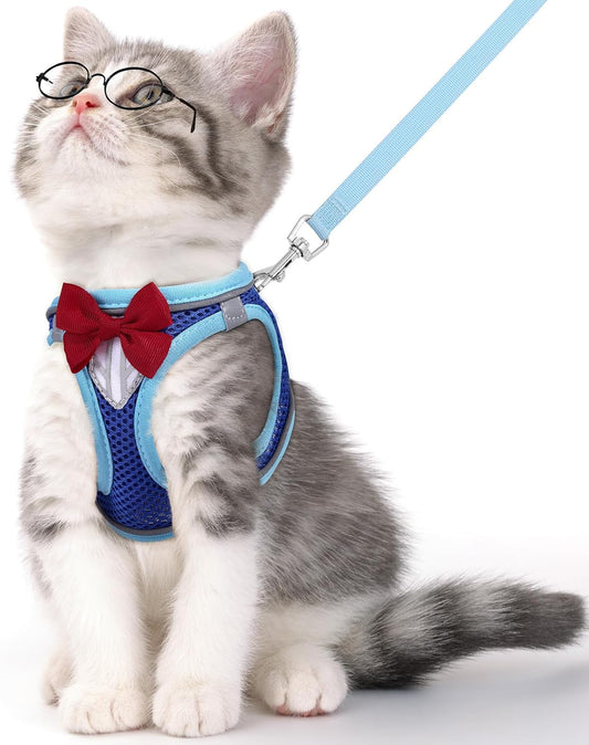 Escape Proof Cat Harness Leash Set Reflective Breathable Adjustable Blue