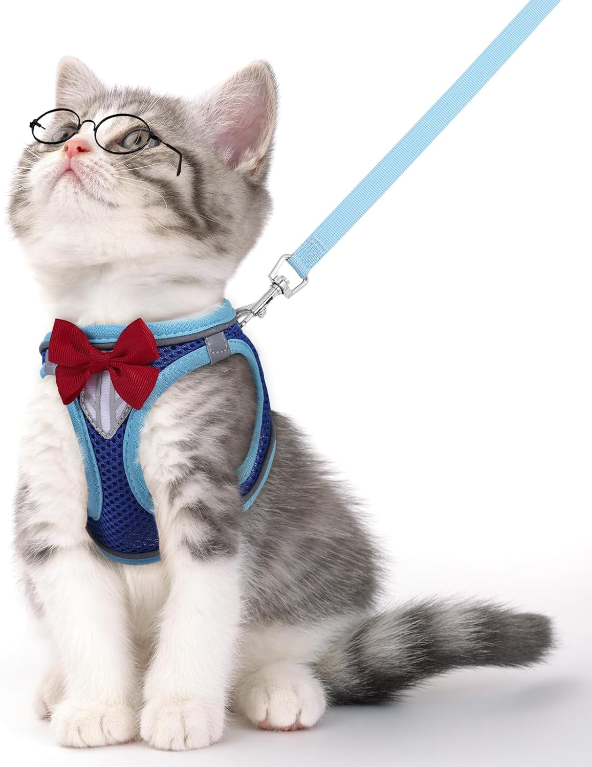 Escape Proof Cat Harness Leash Set Reflective Breathable Adjustable Blue