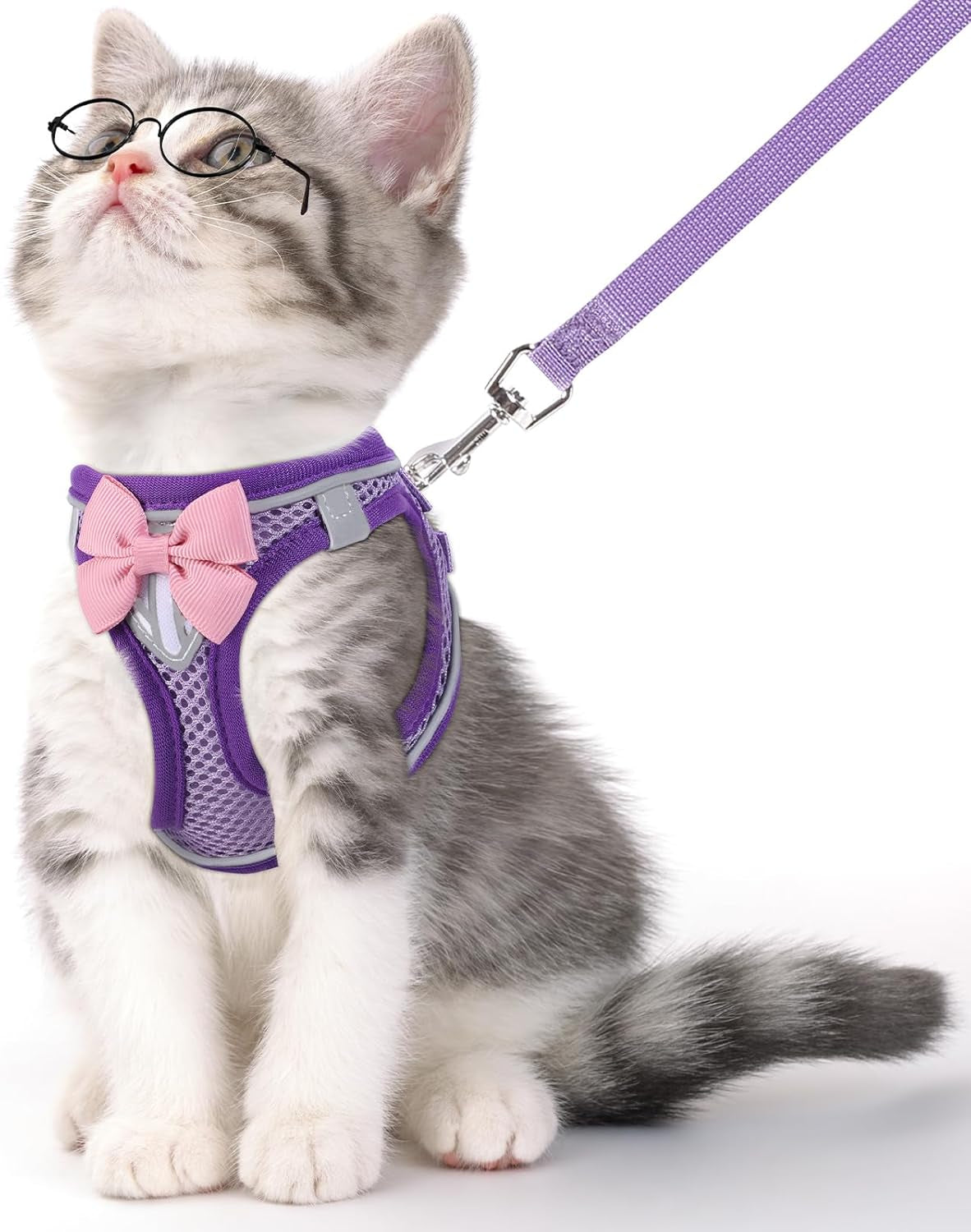Escape Proof Cat Harness Leash Set Reflective Breathable Adjustable Purple