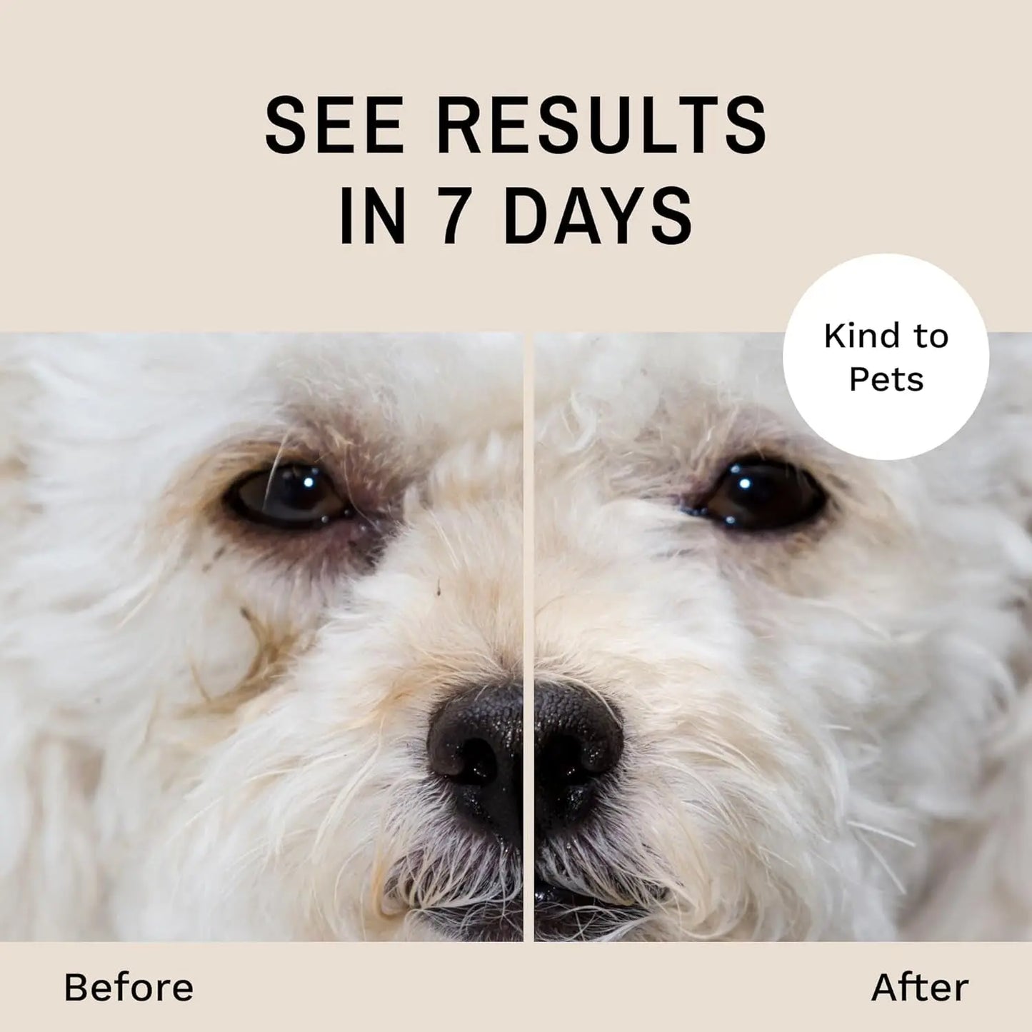 Eye Envy Dog Tear Stain Remover Kit w Brush Pads Powder 30–45 Day