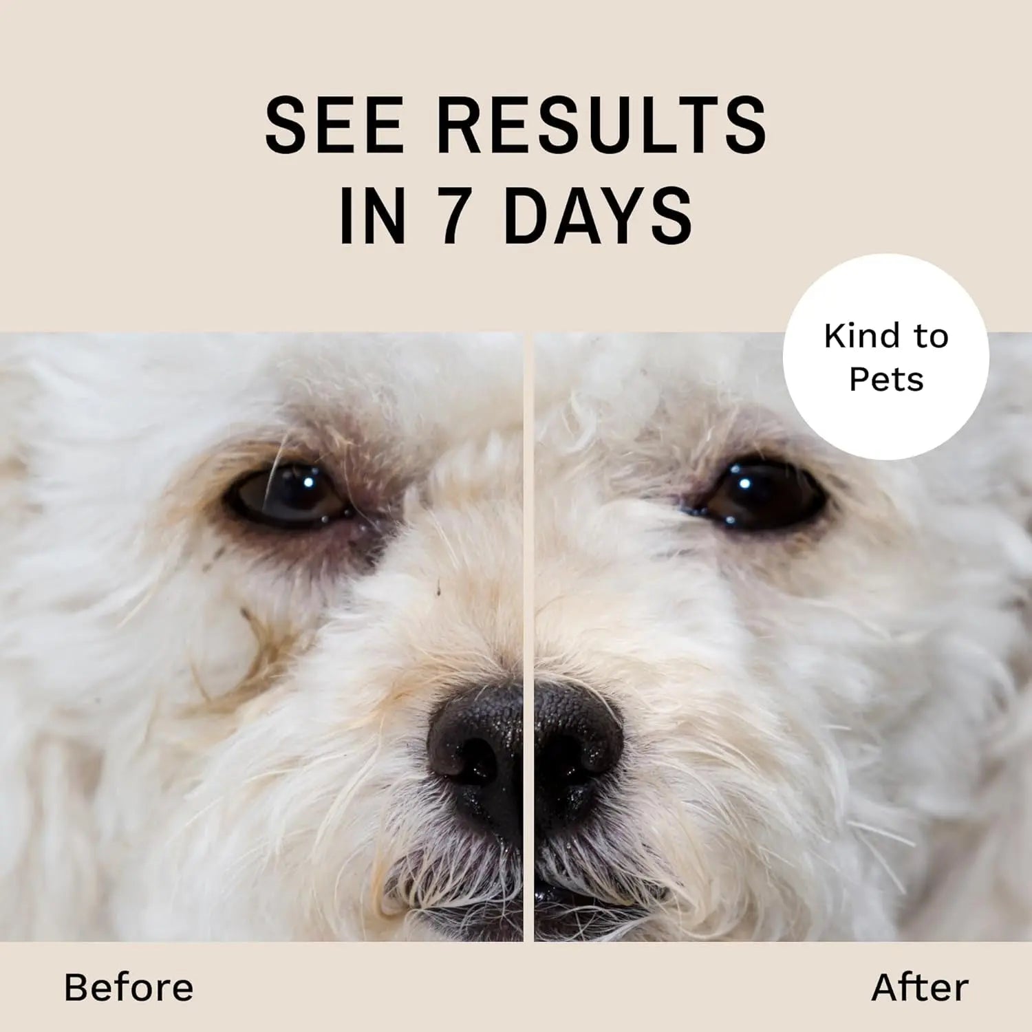 Eye Envy Dog Tear Stain Remover Kit w Brush Pads Powder 30–45 Day