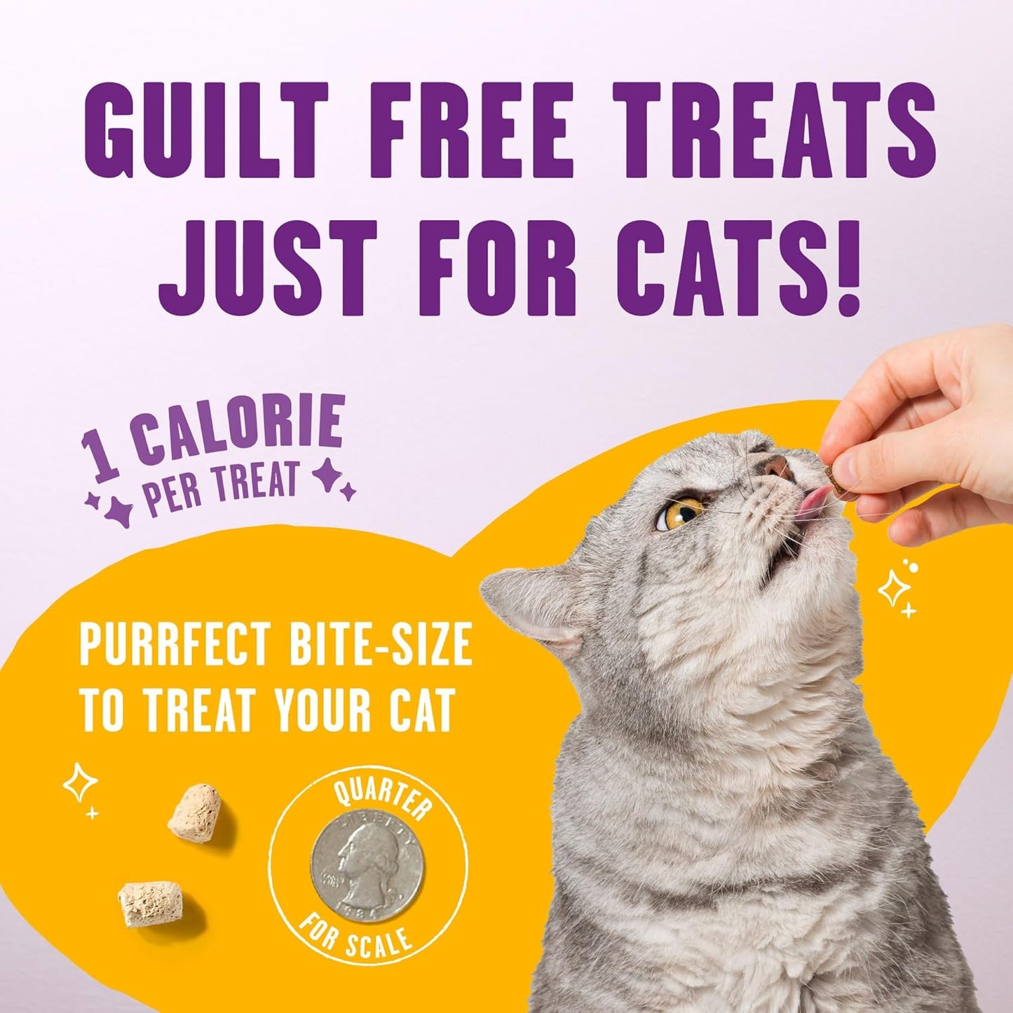 Freeze Dried Cat Treats Chicken Probiotic Low Calorie Skin Coat Support
