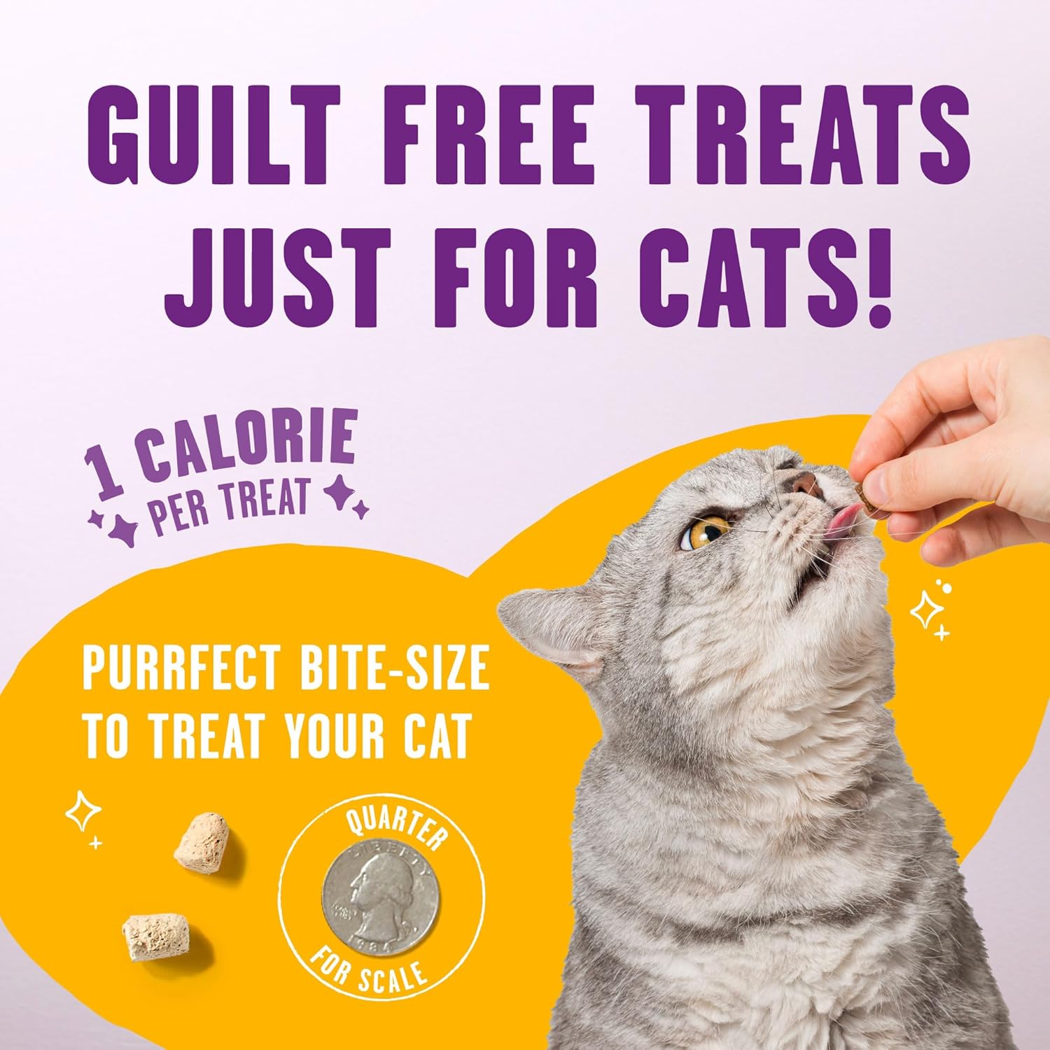 Freeze Dried Cat Treats Chicken Probiotic Low Calorie Skin Coat Support