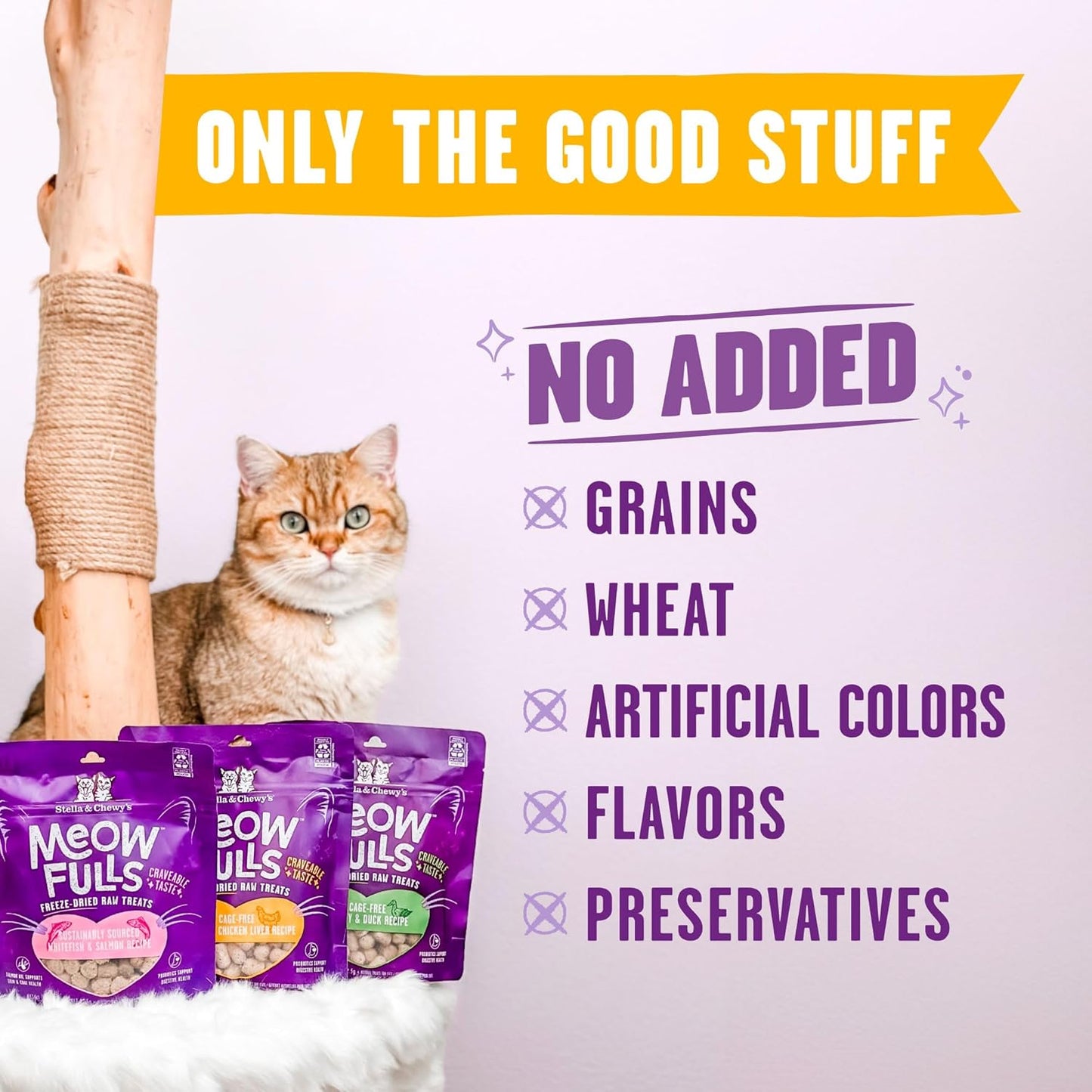 Freeze Dried Cat Treats Chicken Probiotic Low Calorie Skin Coat Support