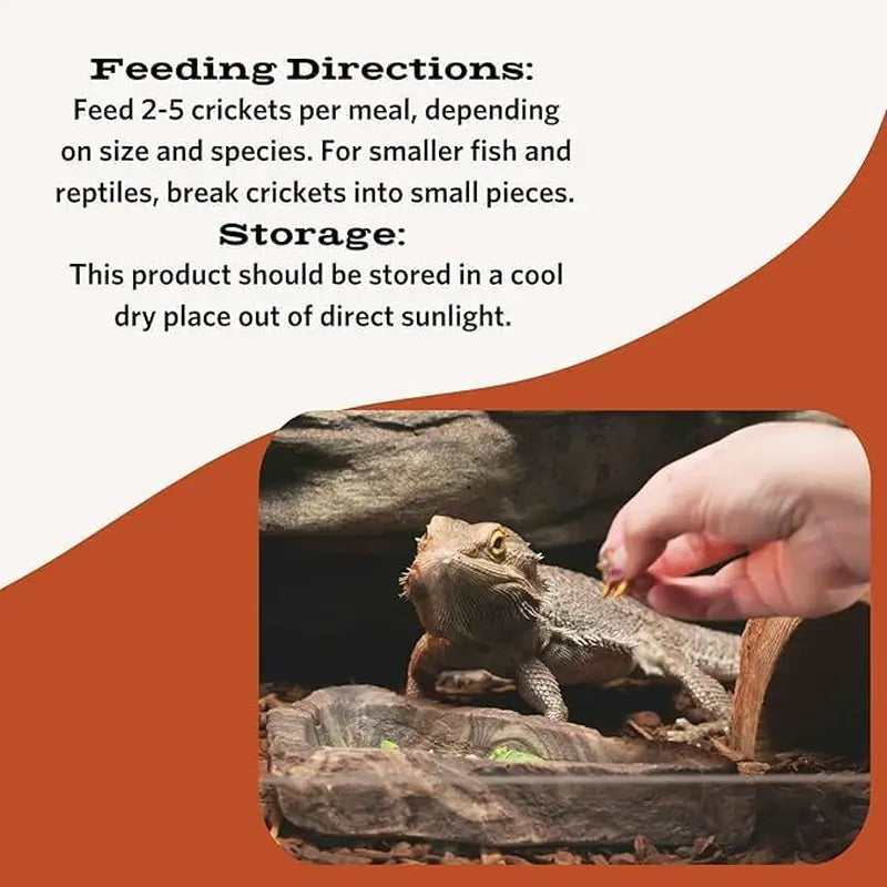 Freeze Dried Insects 1.2oz Crickets Shrimp Grasshoppers- Reptile & Bird Treat