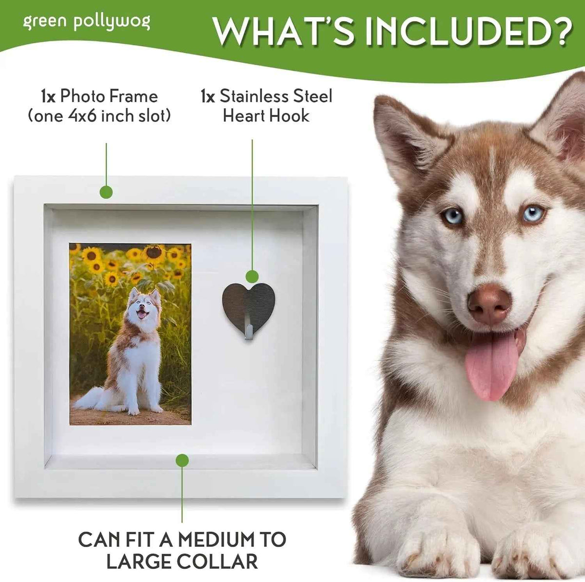 Green Pollywog Pet Memorial Shadowbox | Collar, Tag & Photo Keepsake