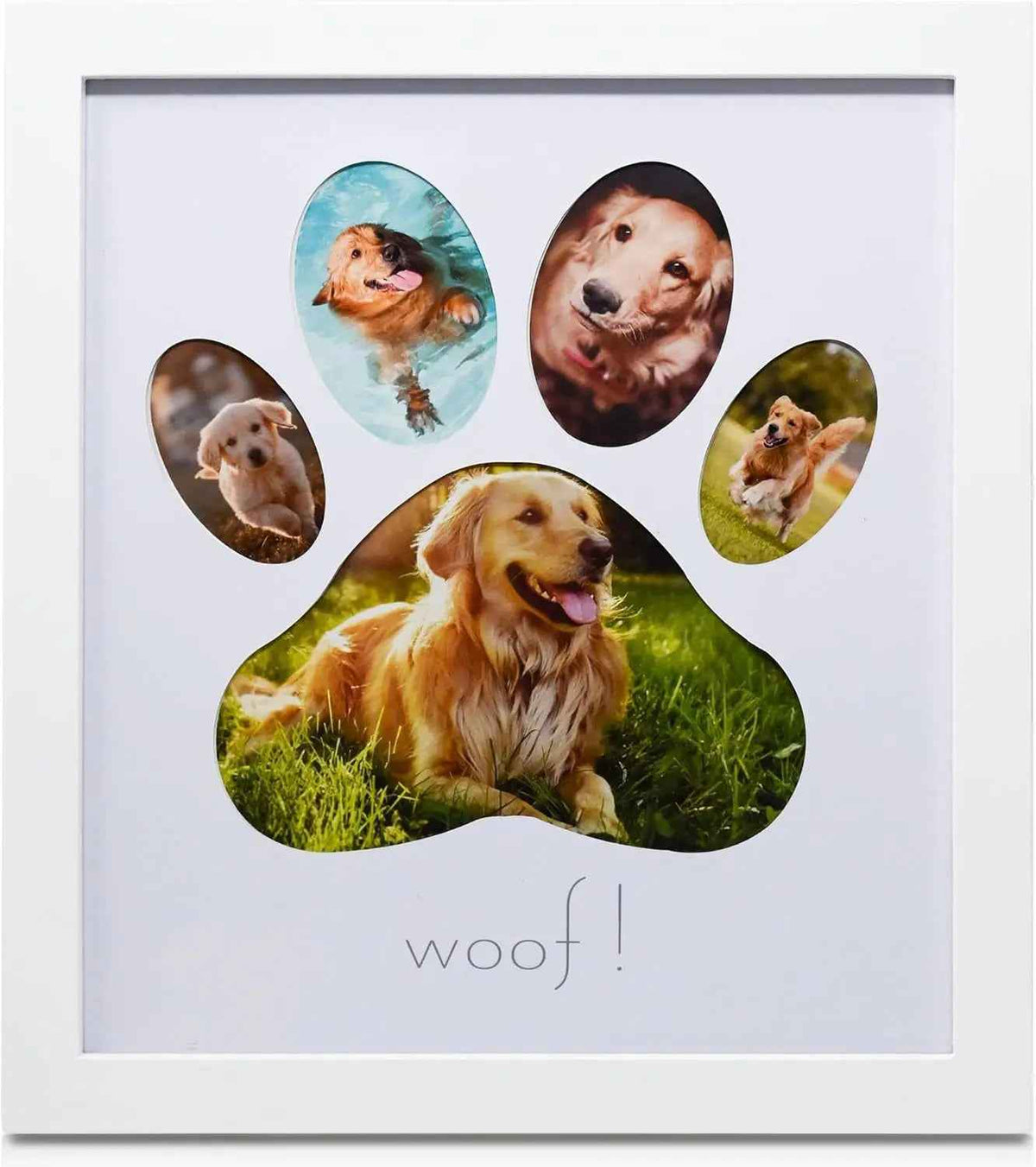 Green Pollywog Pet Memorial Shadowbox | Collar, Tag & Photo Keepsake