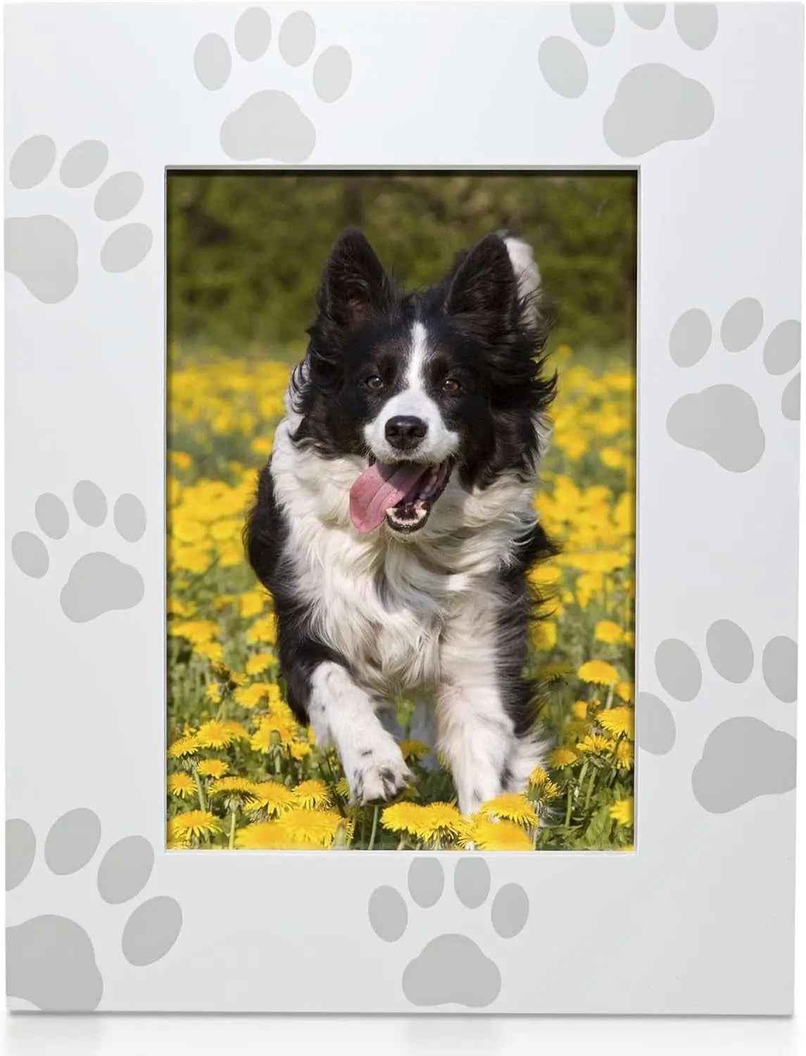 Green Pollywog Pet Memorial Shadowbox | Collar, Tag & Photo Keepsake