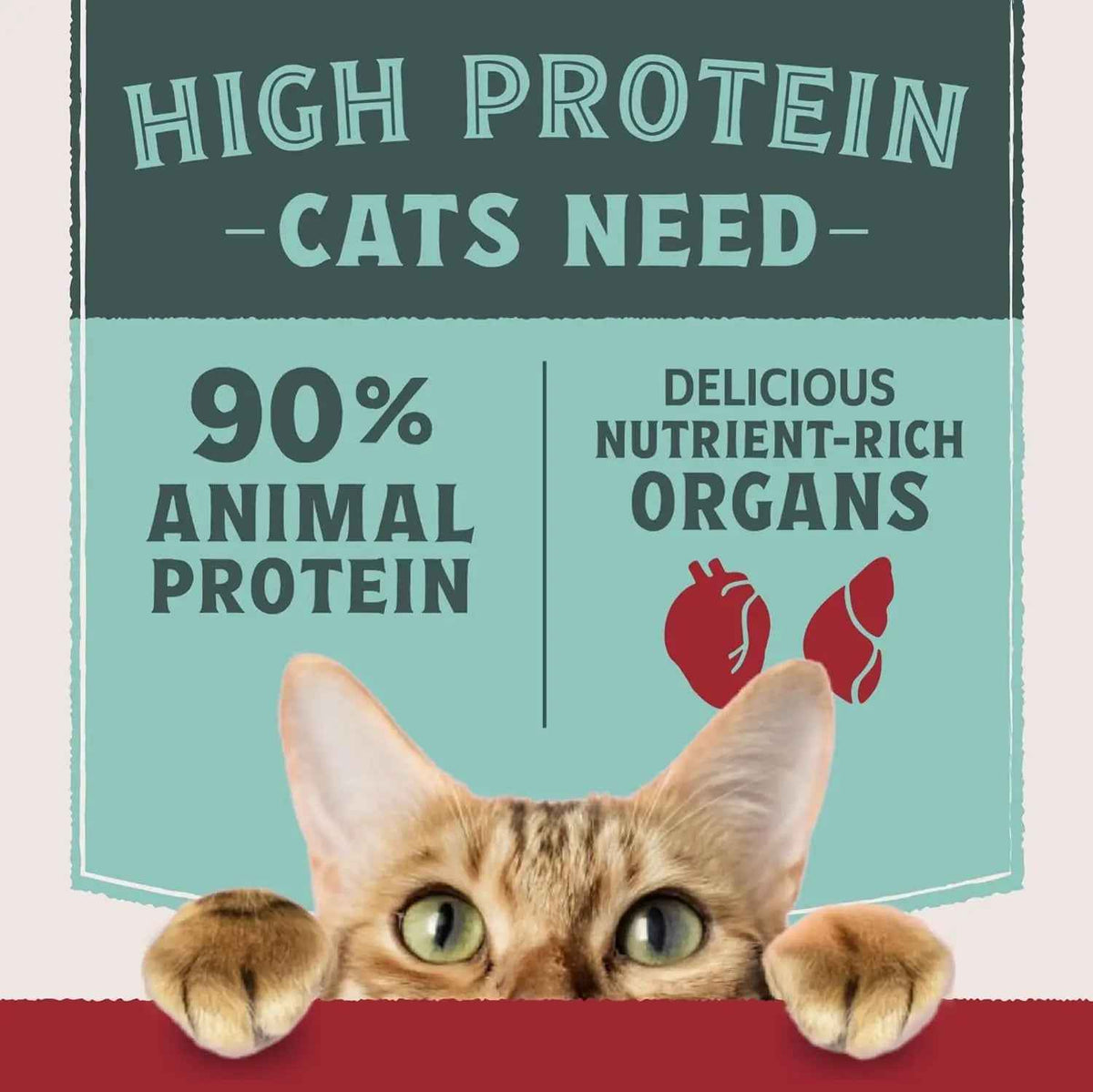 High Protein Wet Cat Food Pate Variety Pack Grain Free Real Meat 12Ct