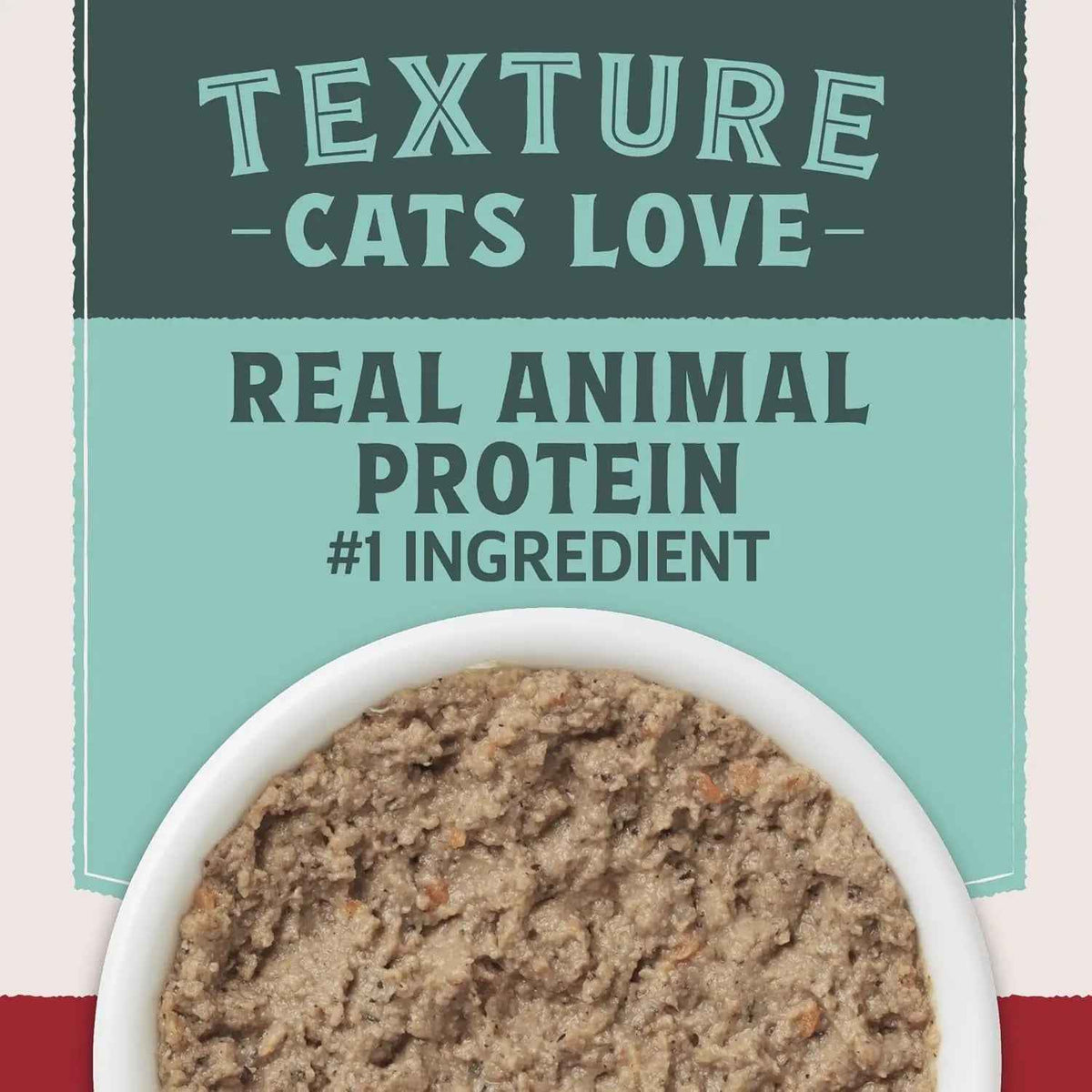 High Protein Wet Cat Food Pate Variety Pack Grain Free Real Meat 12Ct