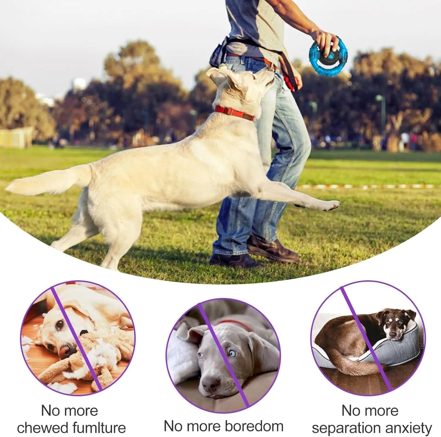 Indestructible Large Dog Toy for Aggressive Chewers Nylon Squeaky