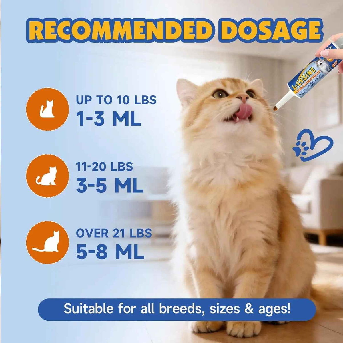 L-Lysine Paste for Cats Taurine Omega 3 Immune Eye Respiratory 60ml