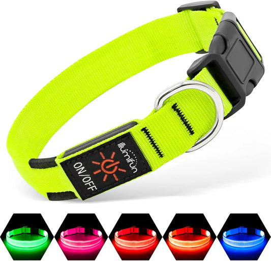 LED Dog Collar Rechargeable Light-Up Safety Collar for Night Walking (colors) Green
