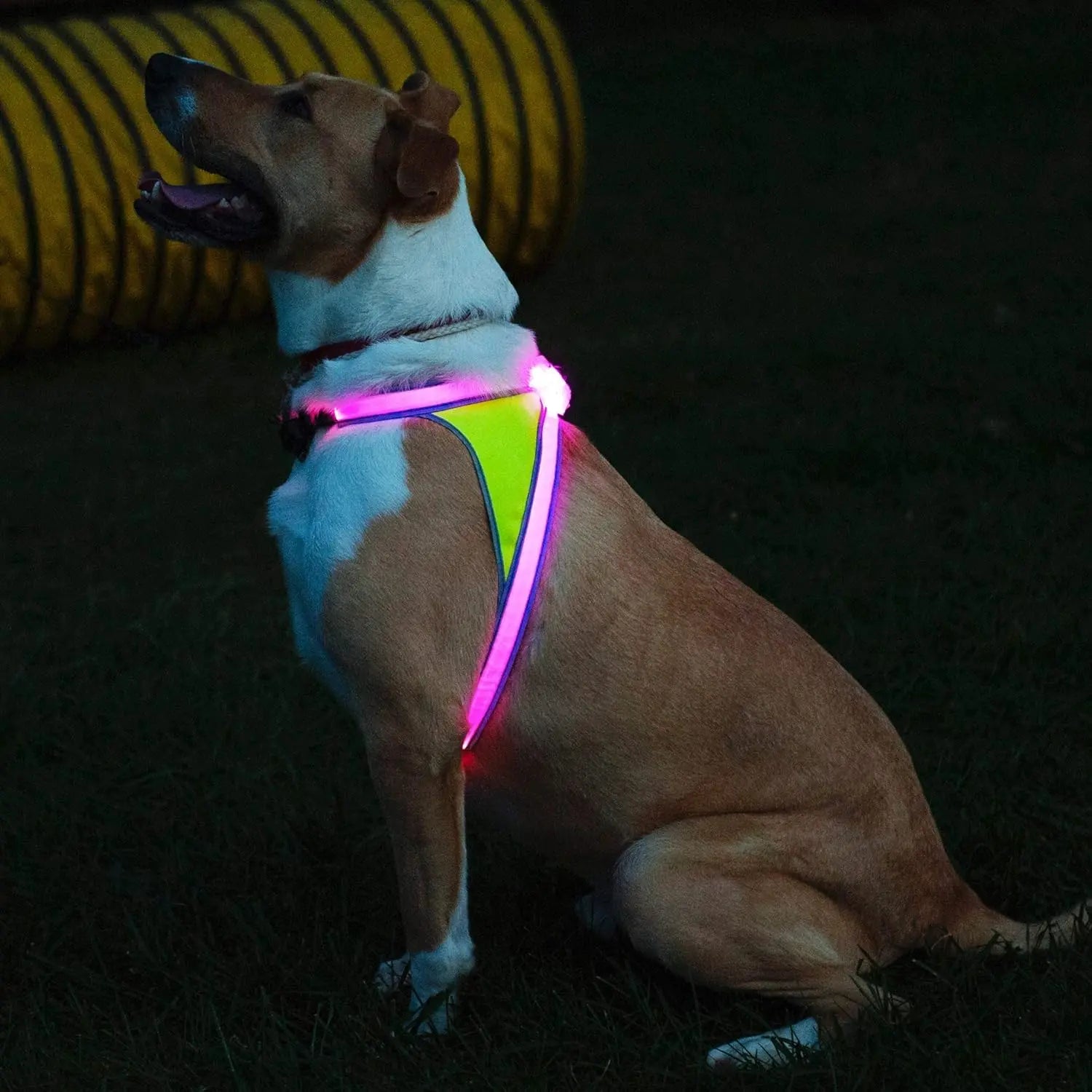 LED Light-Up Dog Harness – USB Rechargeable Reflective Adjustable Safety Vest