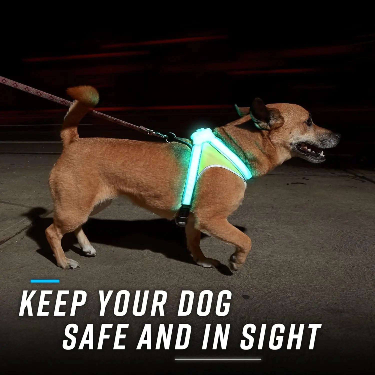 LED Light-Up Dog Harness – USB Rechargeable Reflective Adjustable Safety Vest