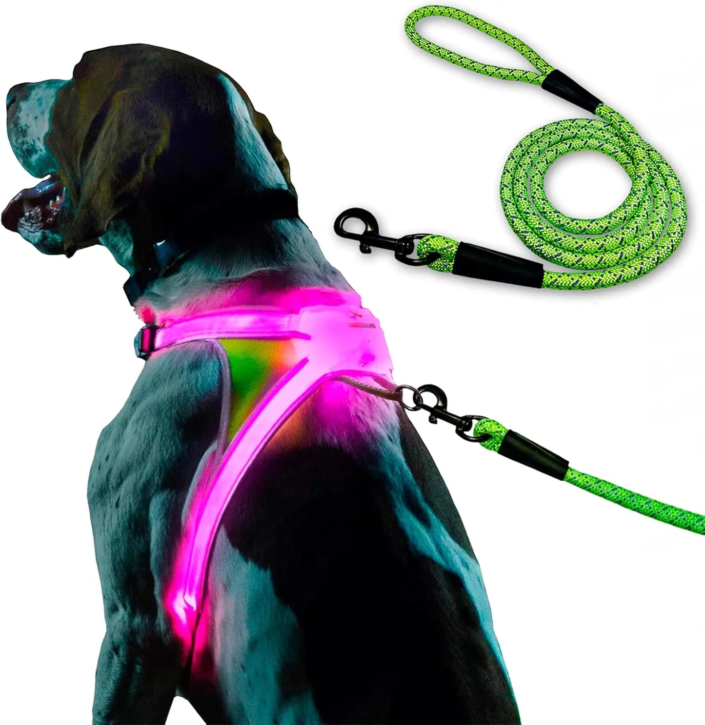 LED Light-Up Dog Harness – USB Rechargeable Reflective Adjustable Safety Vest Lighthound Harness With Leash