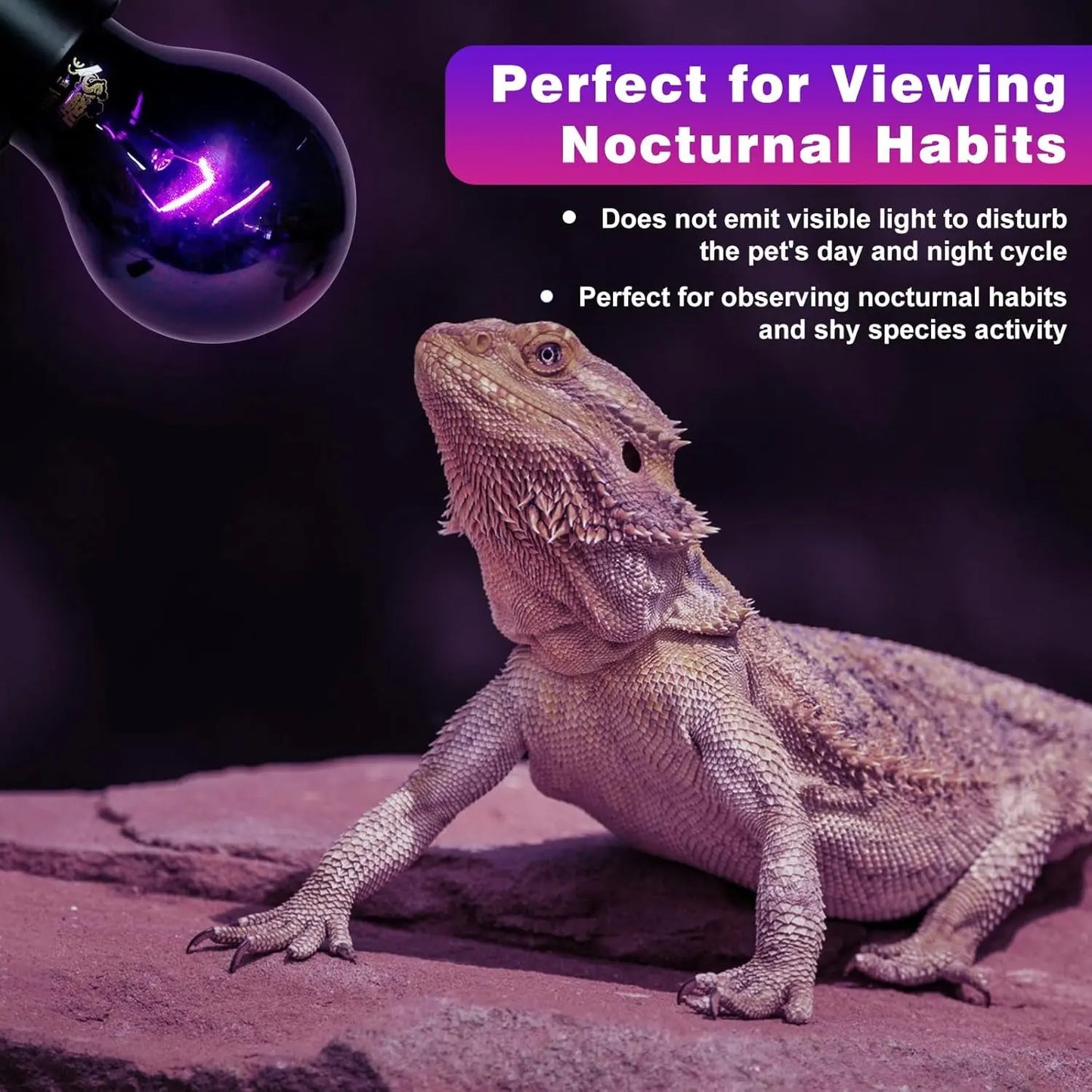 LUCKY HERP Reptile Night Heat Bulb 2 Pack 50W/75W UVA Heat Lamp E26