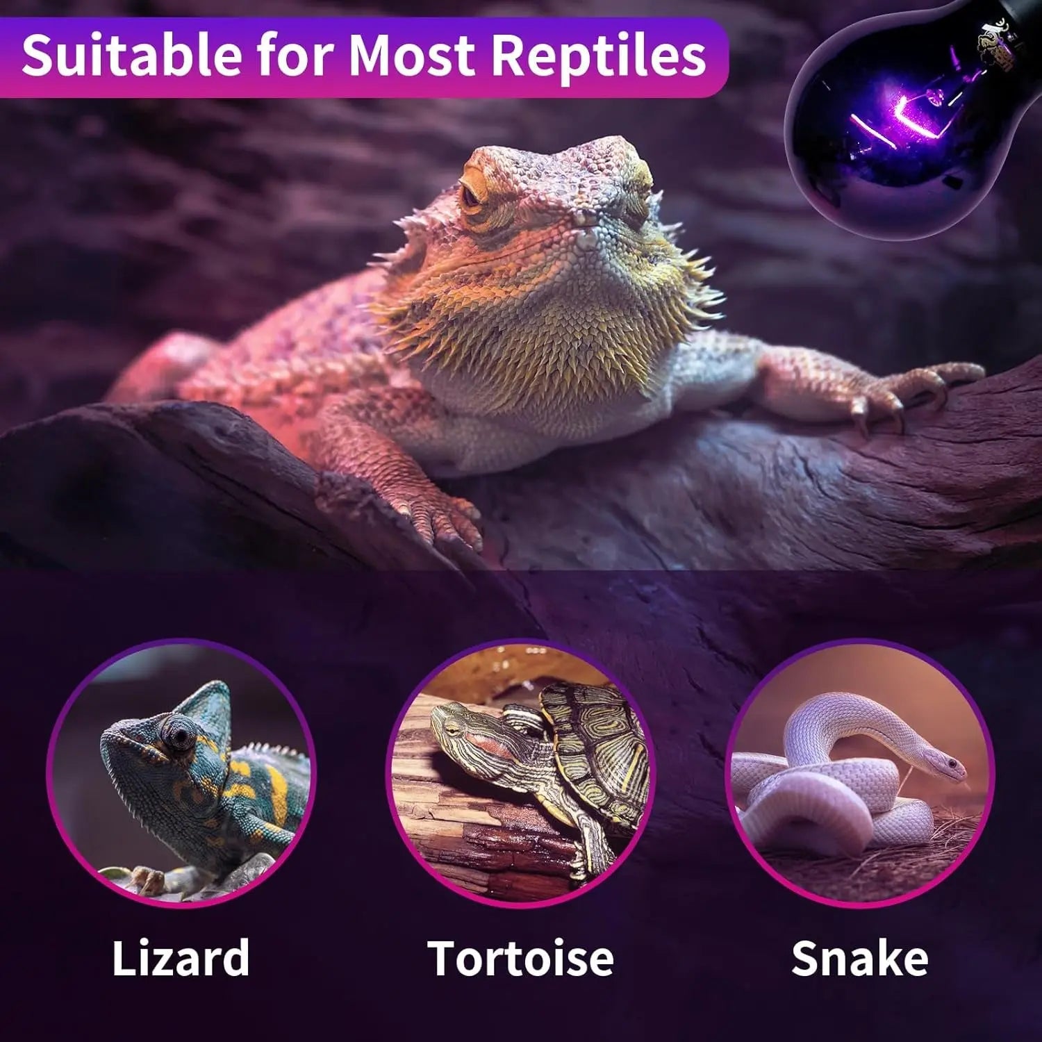LUCKY HERP Reptile Night Heat Bulb 2 Pack 50W/75W UVA Heat Lamp E26
