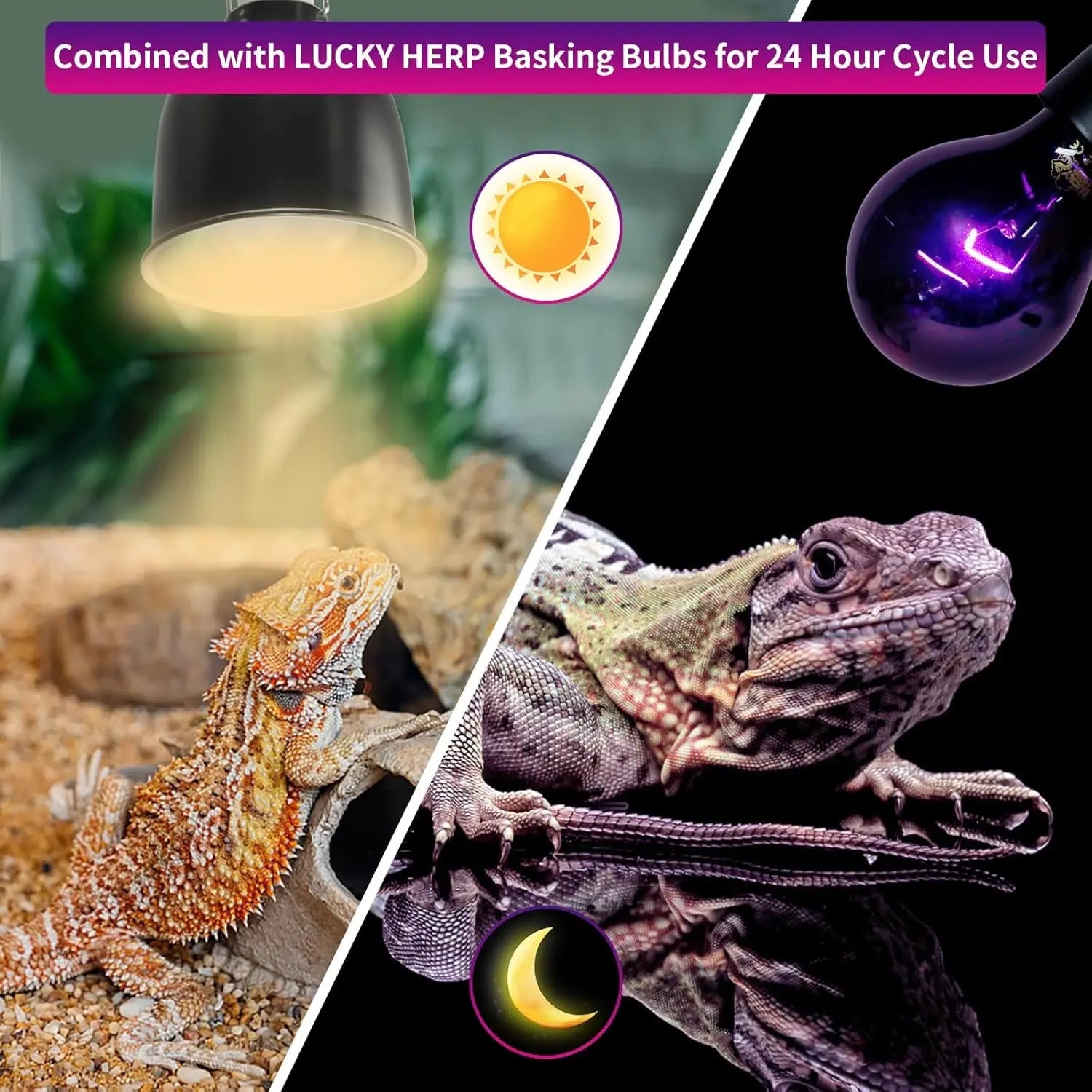 LUCKY HERP Reptile Night Heat Bulb 2 Pack 50W/75W UVA Heat Lamp E26