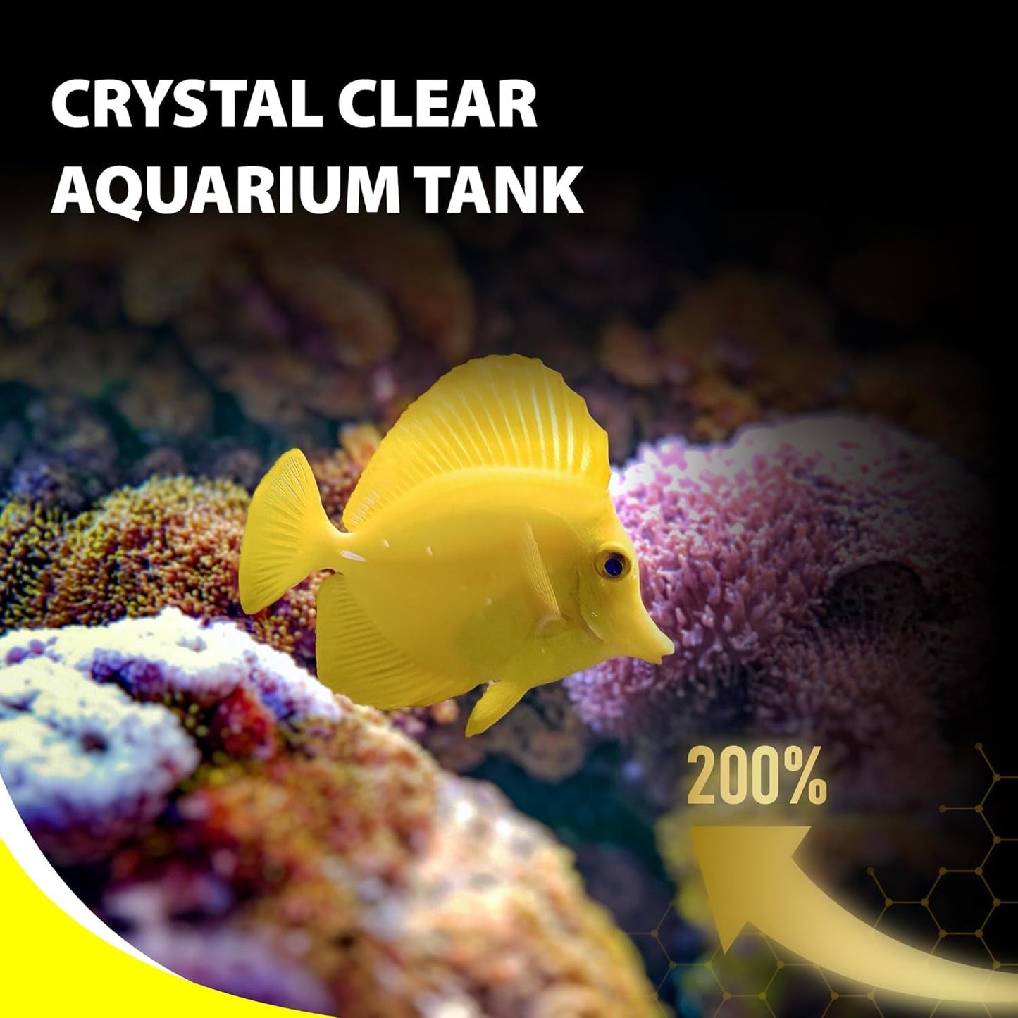 Marine Fish Sinking Pellets Clownfish Saltwater Food Probiotic 2.65oz