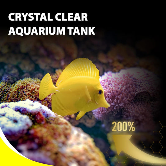 Marine Fish Sinking Pellets Clownfish Saltwater Food Probiotic 2.65oz