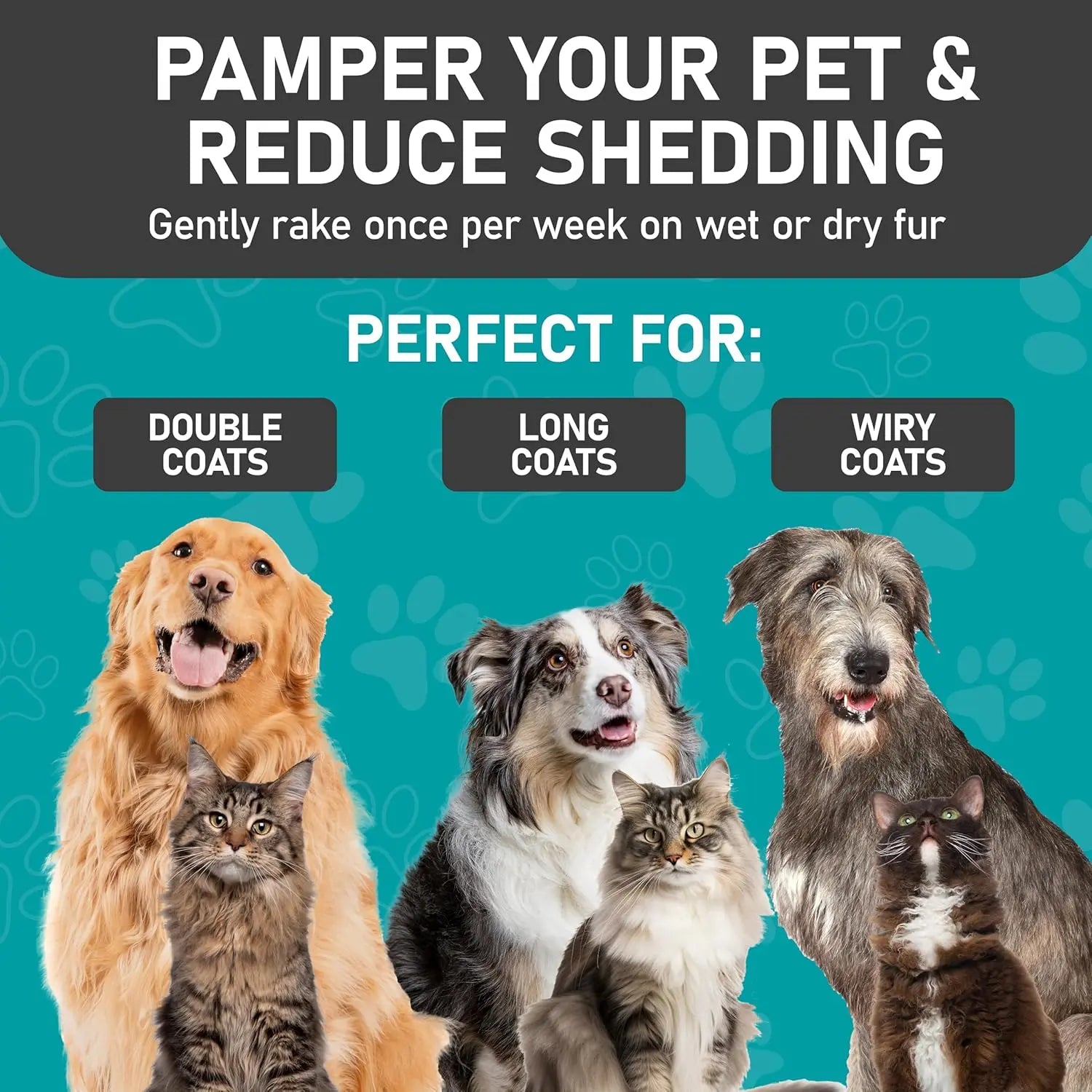 Complete Coat Care & Dematting Bundle for Dogs & Cats