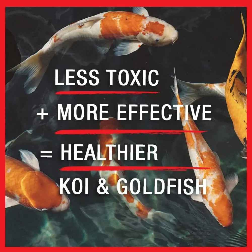 Microbe-Lift BSDT16 Pond Disease Treatment 16oz for Koi & Goldfish