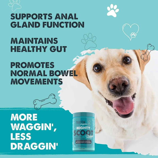Fiber chews for dog anal gland and digestive support, 120 count