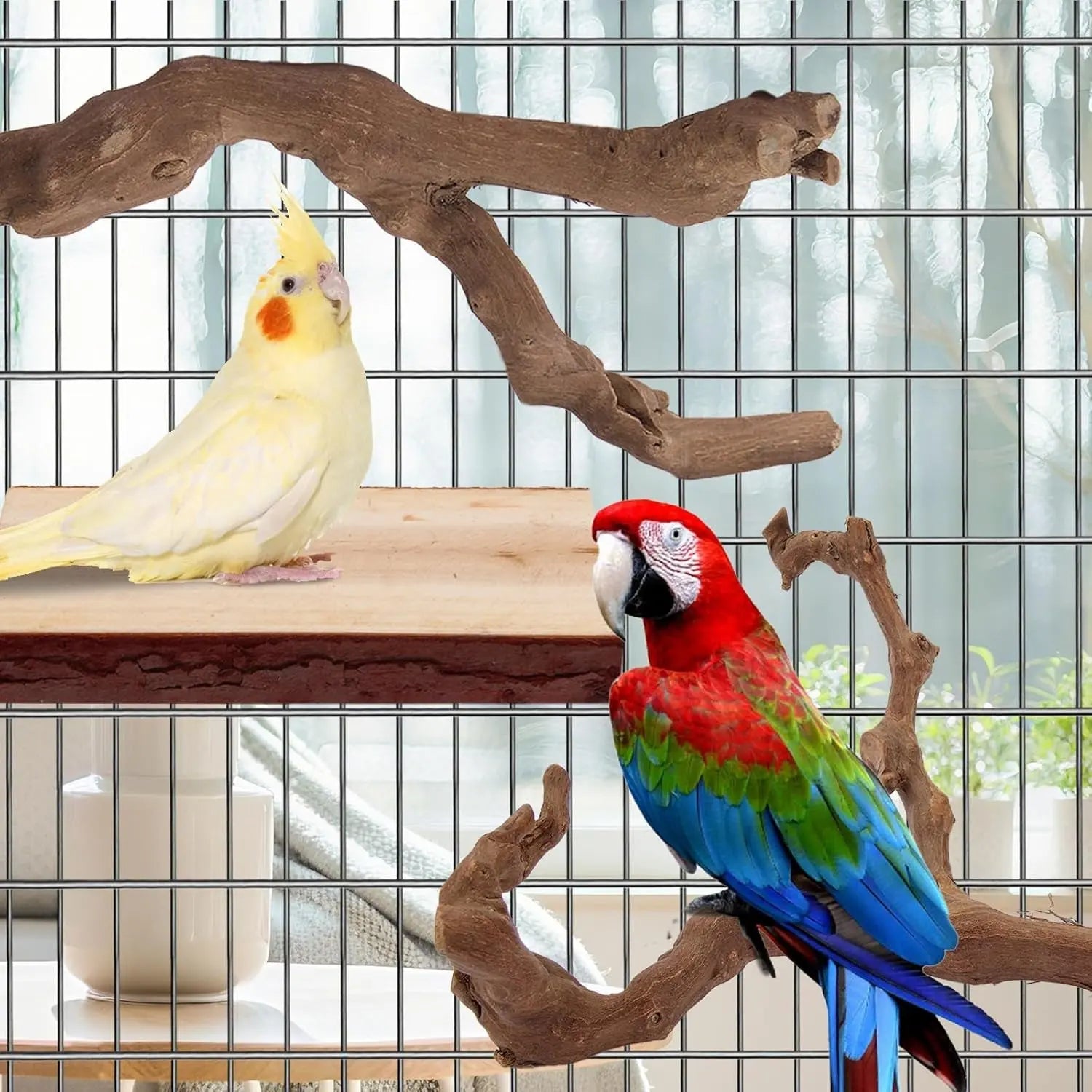 Natural Bird Perch Set – 6PC Grapewood & Peppercorn Branch Perches, Toys