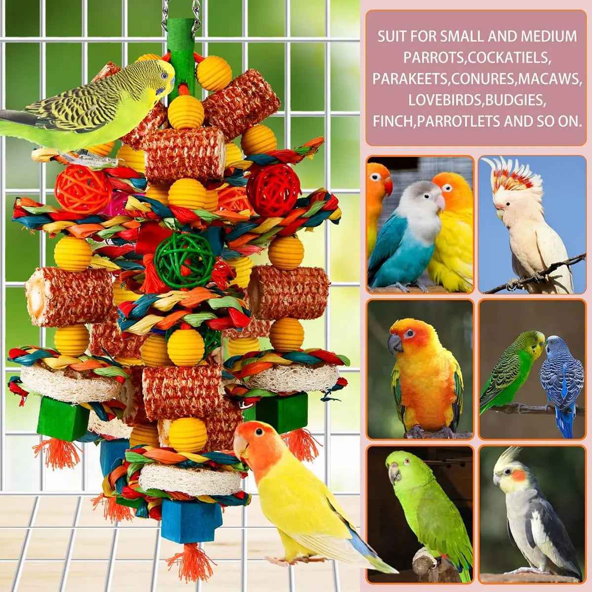 Natural Corn Cob & Loofah Parrot Toy for Large Birds