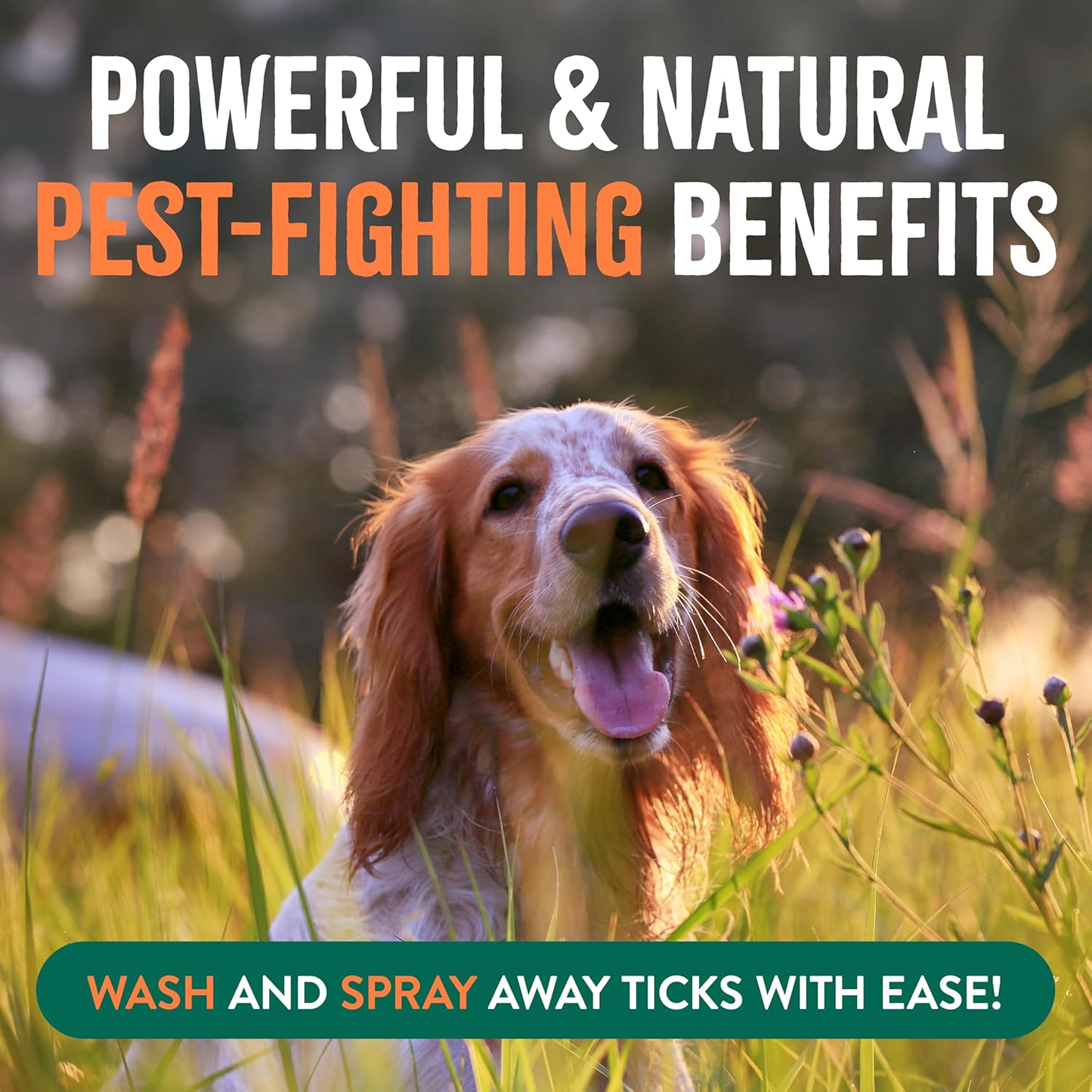 Natural Flea & Tick Dog Shampoo & Bedding Spray Bundle Soothing Treatment USA