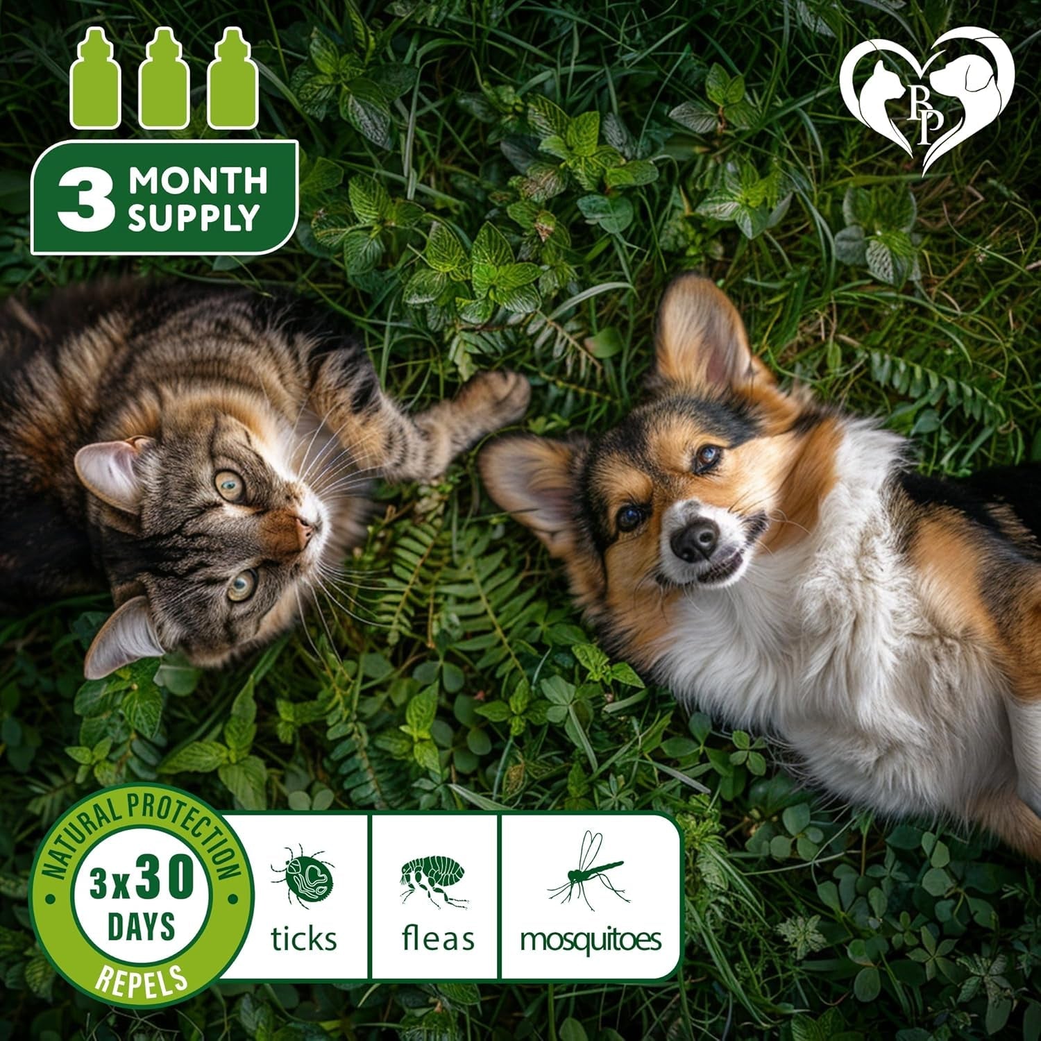 Natural Flea & Tick Spot On for Small Dogs Cats Rabbits Mosquito Repellent