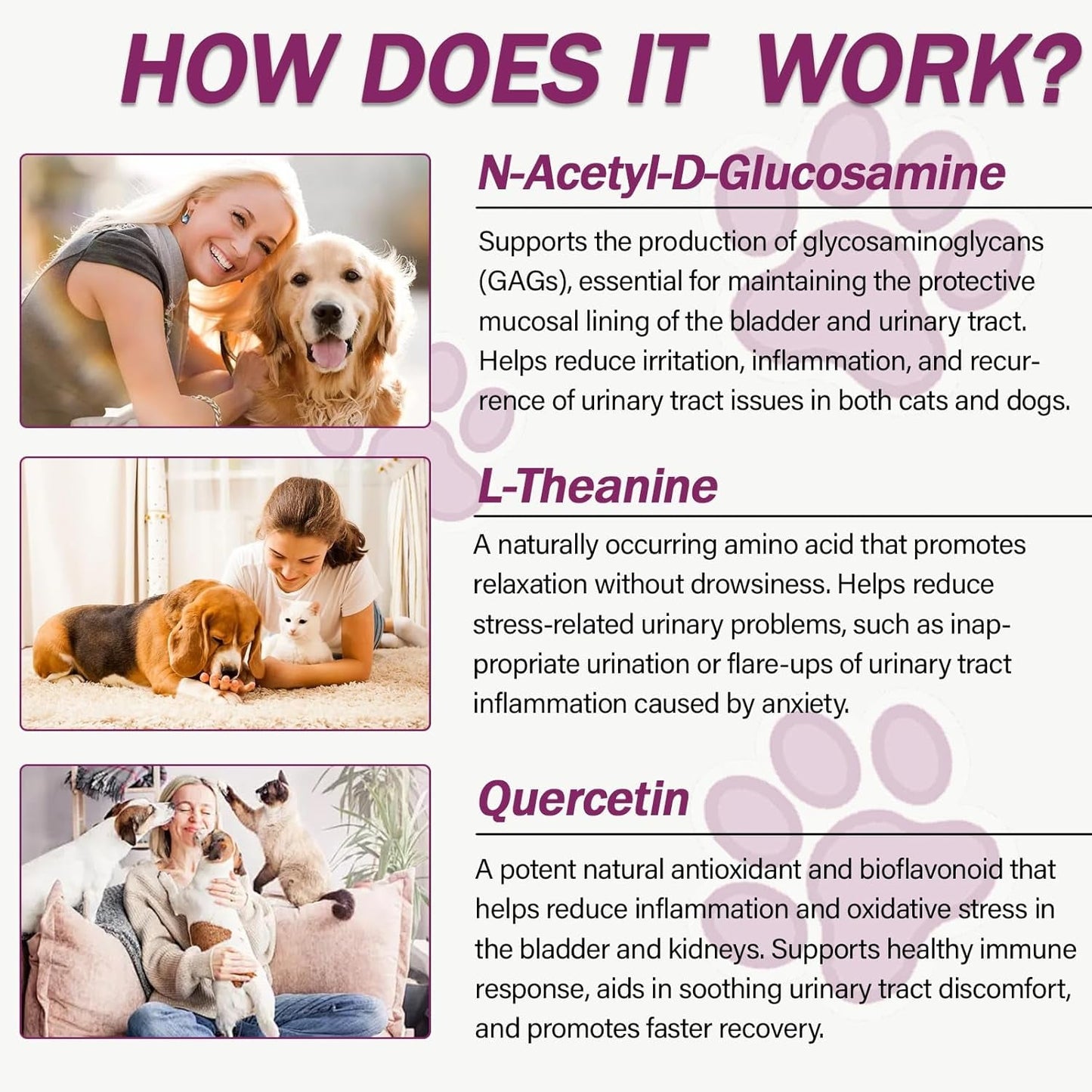 Pet Urinary Tract Support Capsules Cat Dog Bladder Kidney Health Supplement