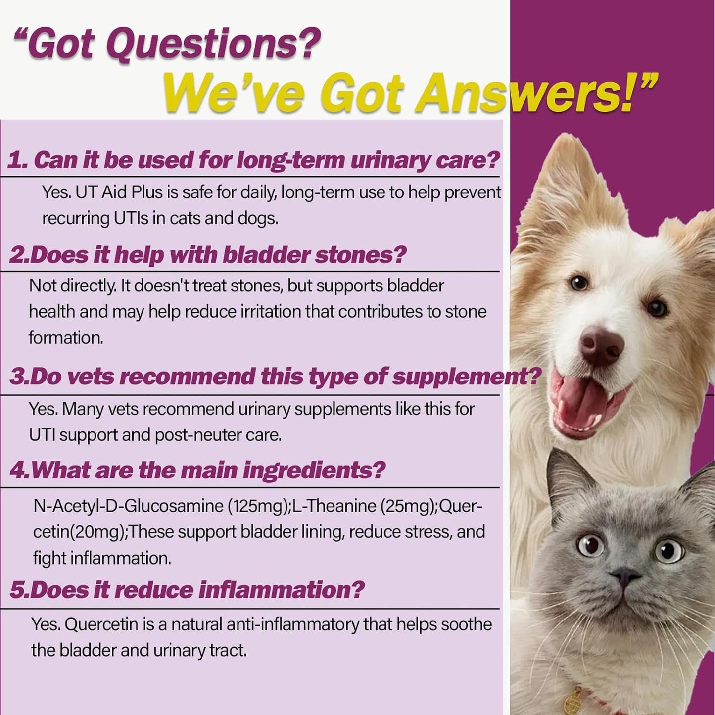 Pet Urinary Tract Support Capsules Cat Dog Bladder Kidney Health Supplement