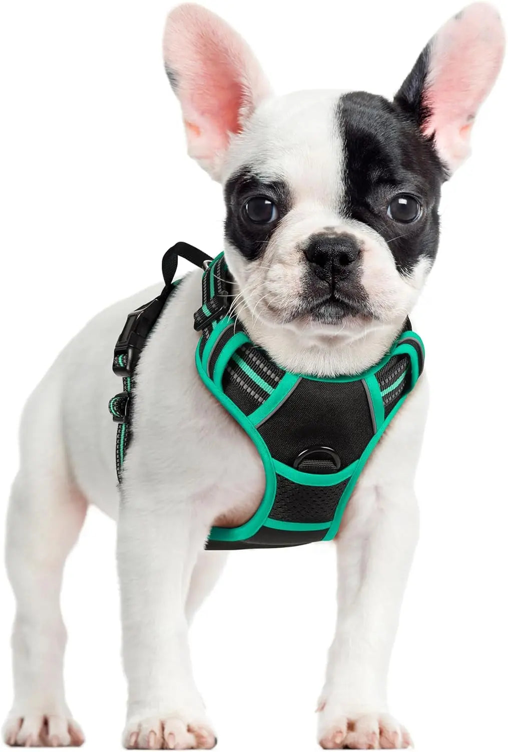 No Pull Dog Harness Reflective Adjustable Oxford Vest Dogs Control (All Sizes) Black Turquoise Small