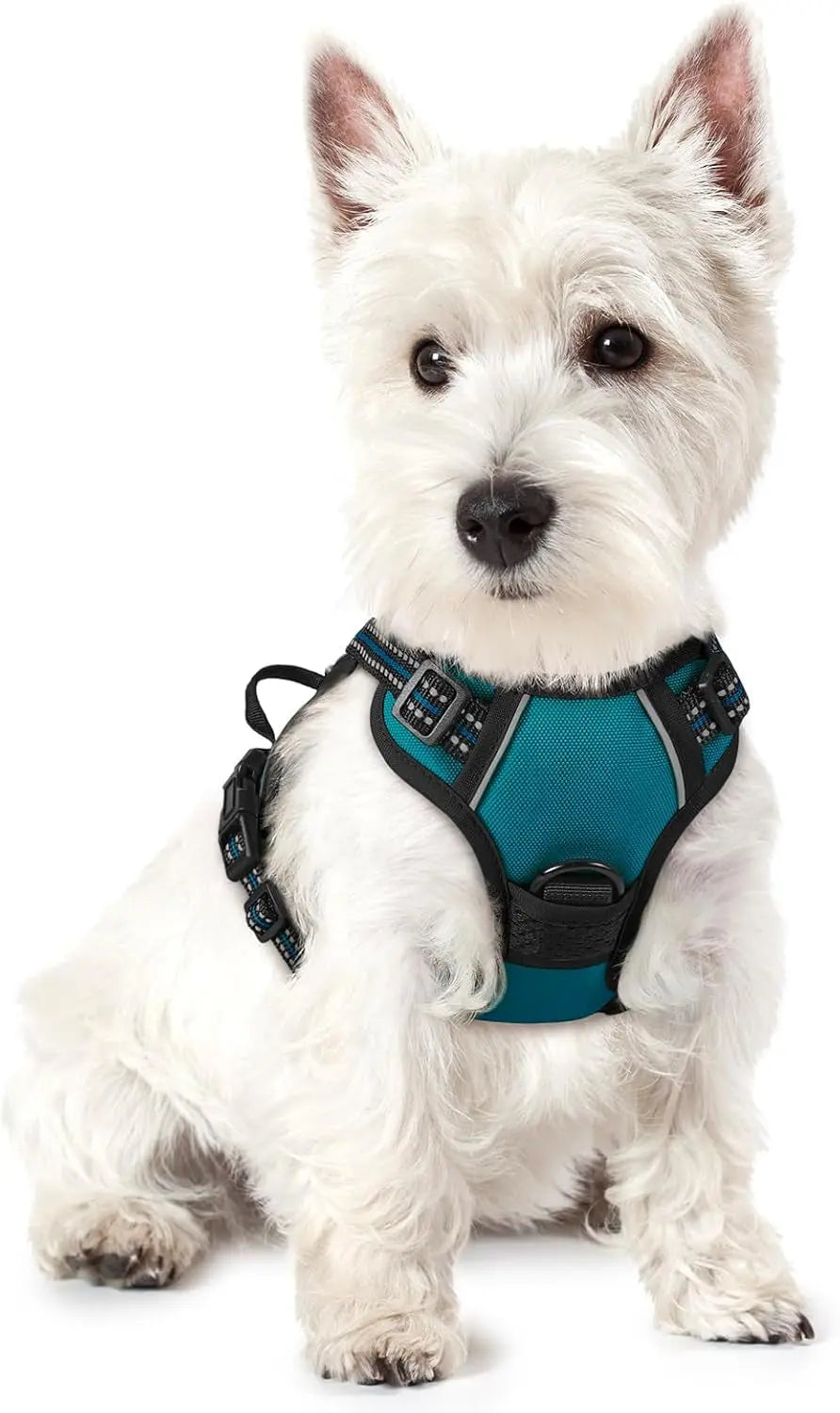 No Pull Dog Harness Reflective Adjustable Oxford Vest Dogs Control (All Sizes) Blue Coral X-Small