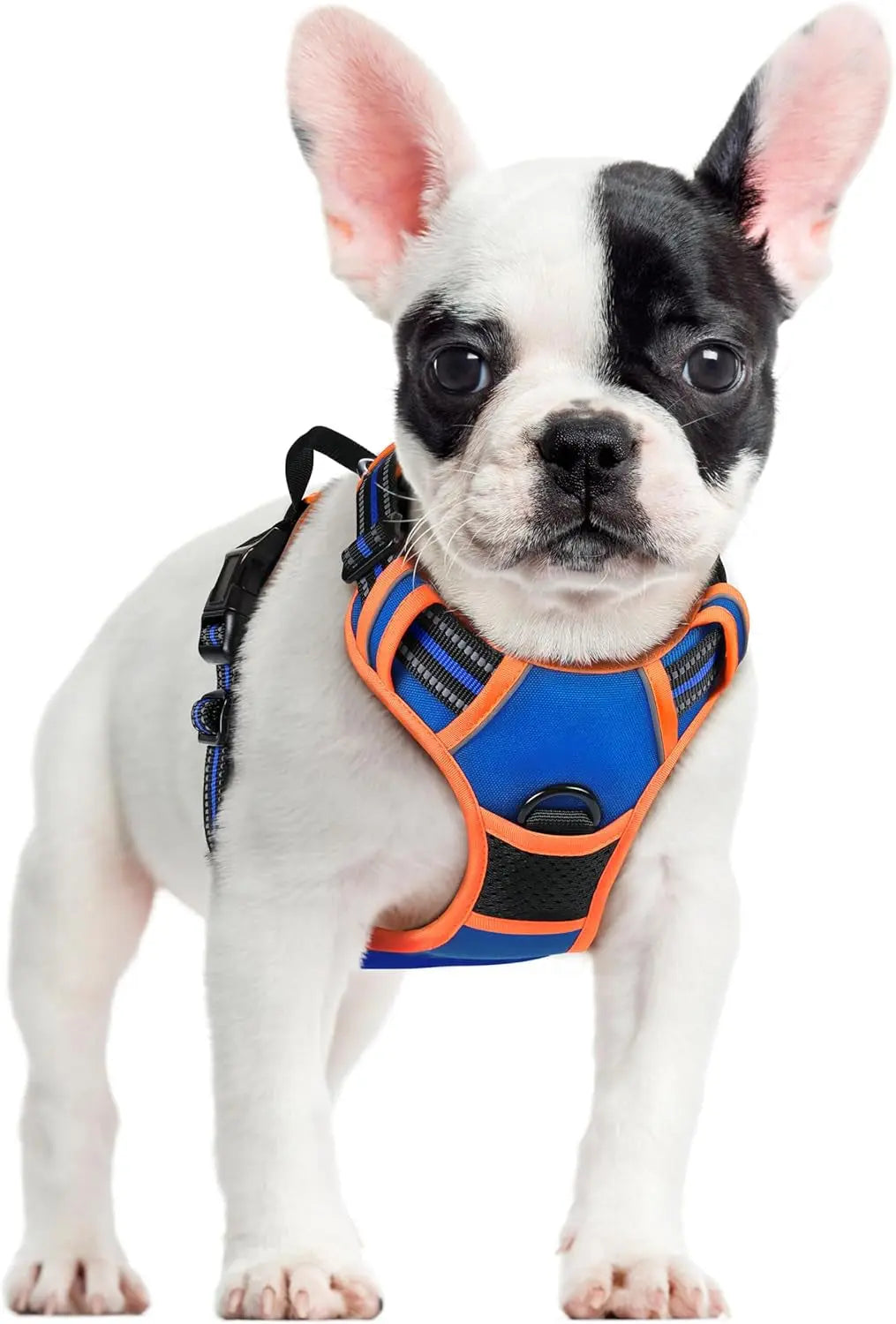 No Pull Dog Harness Reflective Adjustable Oxford Vest Dogs Control (All Sizes) Blue Orange Small