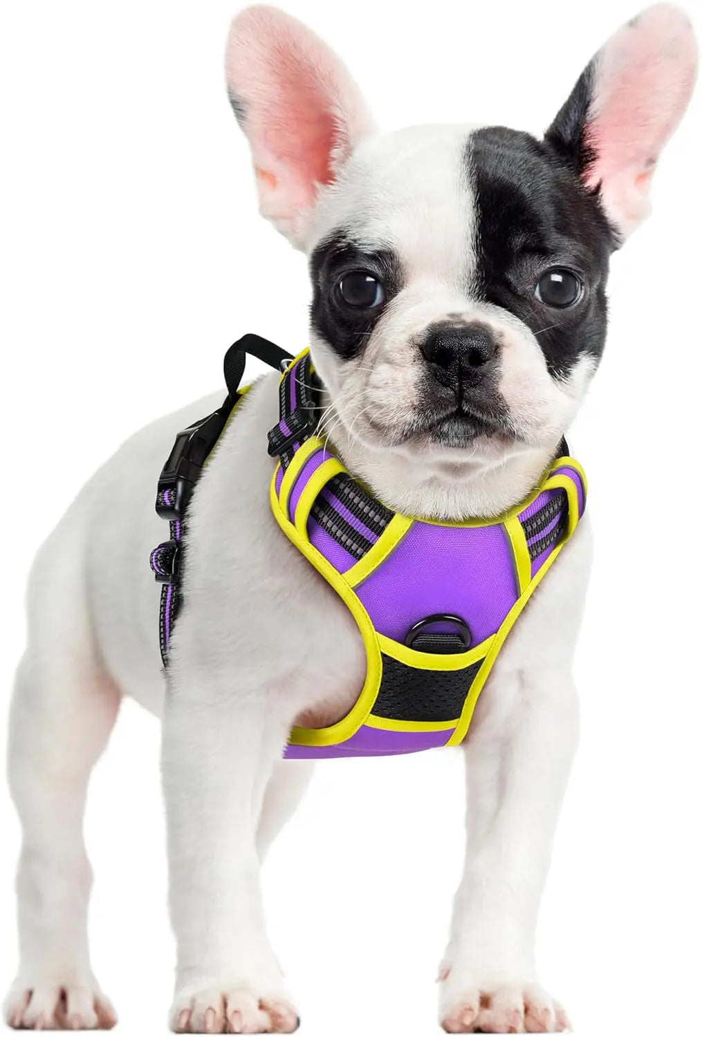 No Pull Dog Harness Reflective Adjustable Oxford Vest Dogs Control (All Sizes) Purple Yellow Small