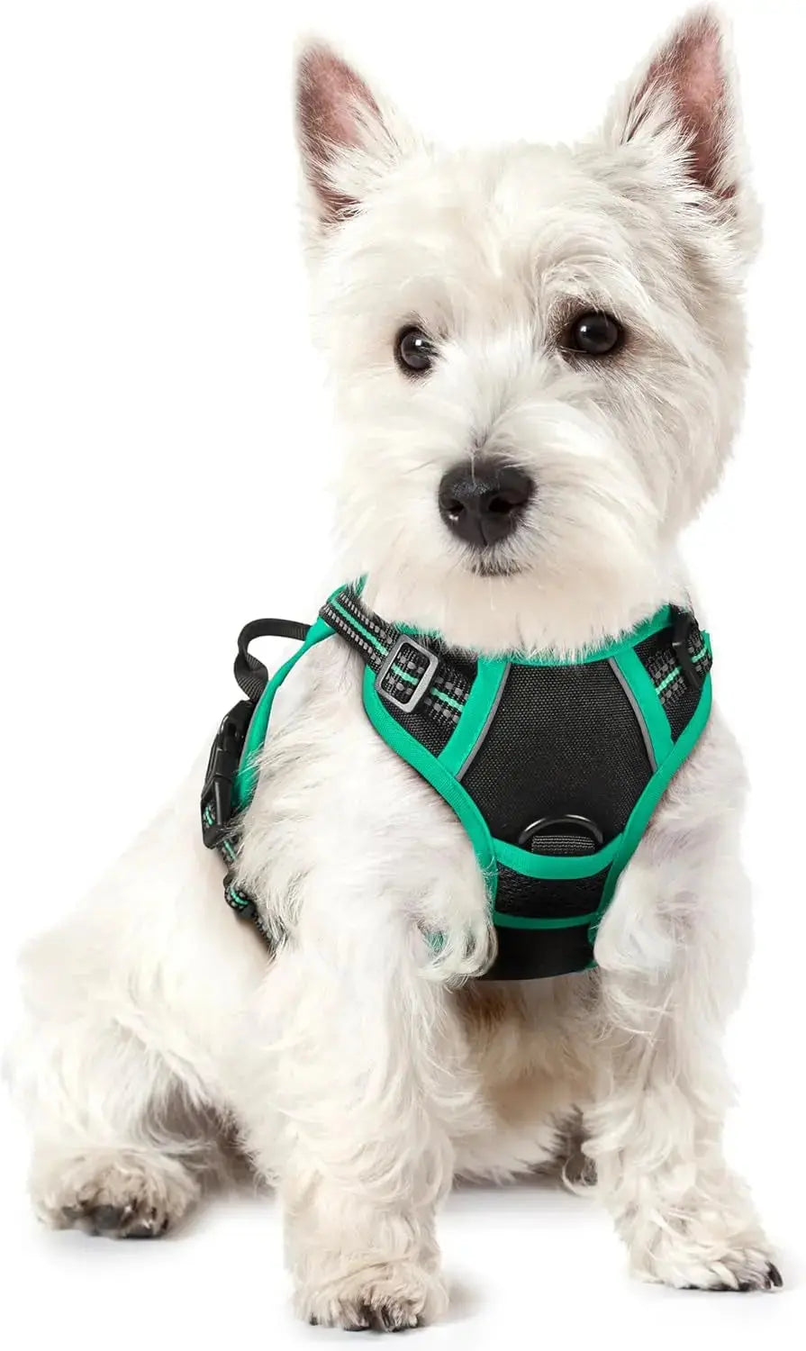 No Pull Dog Harness Reflective Adjustable Oxford Vest Dogs Control (All Sizes) Black Turquoise X-Small