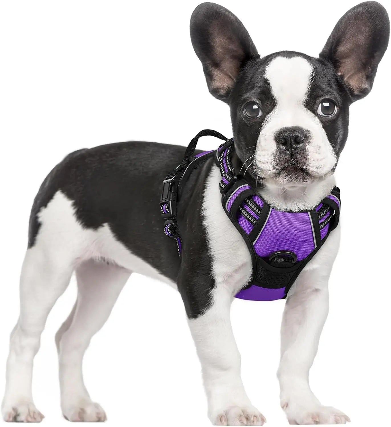No Pull Dog Harness Reflective Adjustable Oxford Vest Dogs Control (All Sizes) Purple Small