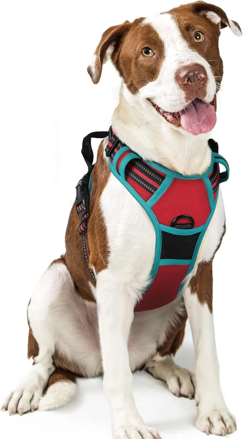 No Pull Dog Harness Reflective Adjustable Oxford Vest Dogs Control (All Sizes) Red Teal Large