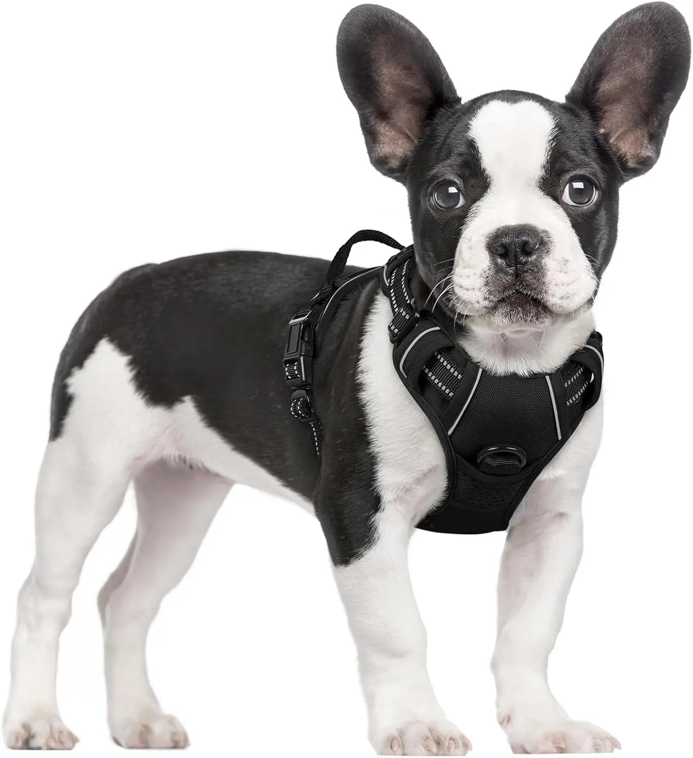 No Pull Dog Harness Reflective Adjustable Oxford Vest Dogs Control (All Sizes) Black Small