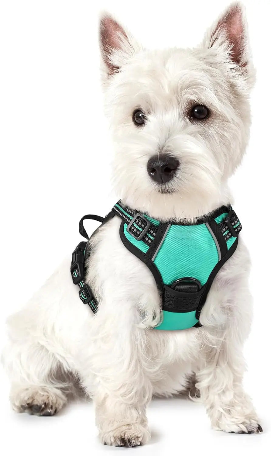 No Pull Dog Harness Reflective Adjustable Oxford Vest Dogs Control (All Sizes) Turquoise X-Small