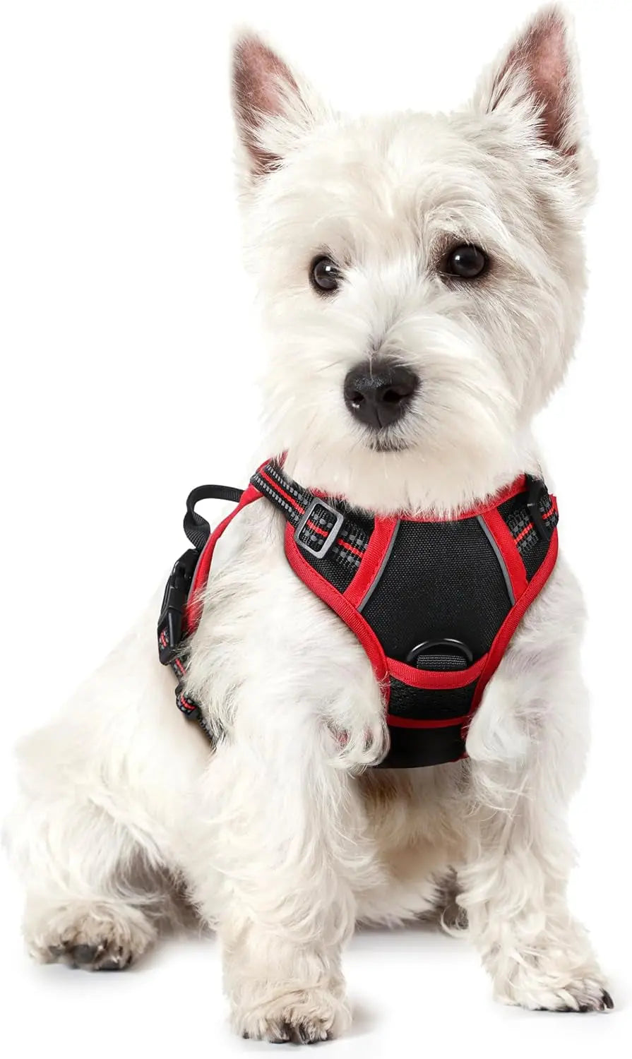 No Pull Dog Harness Reflective Adjustable Oxford Vest Dogs Control (All Sizes) Black Red X-Small