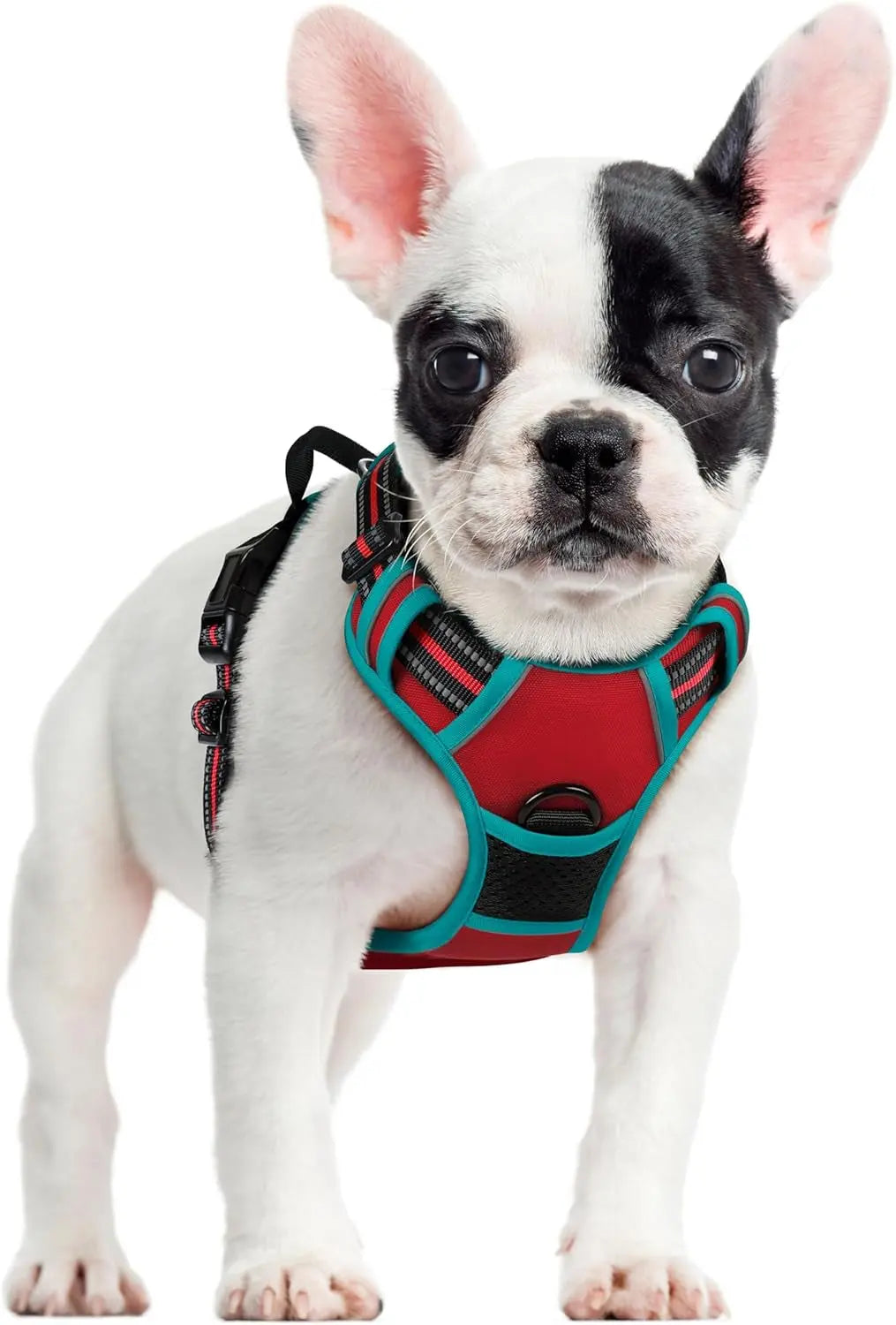 No Pull Dog Harness Reflective Adjustable Oxford Vest Dogs Control (All Sizes) Red Teal Small