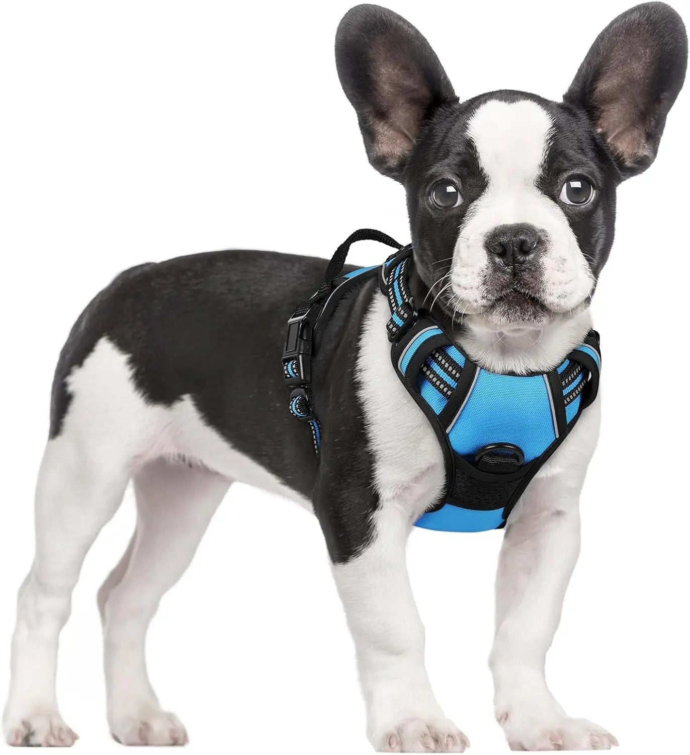 No Pull Dog Harness Reflective Adjustable Oxford Vest Dogs Control (All Sizes) Blue Small